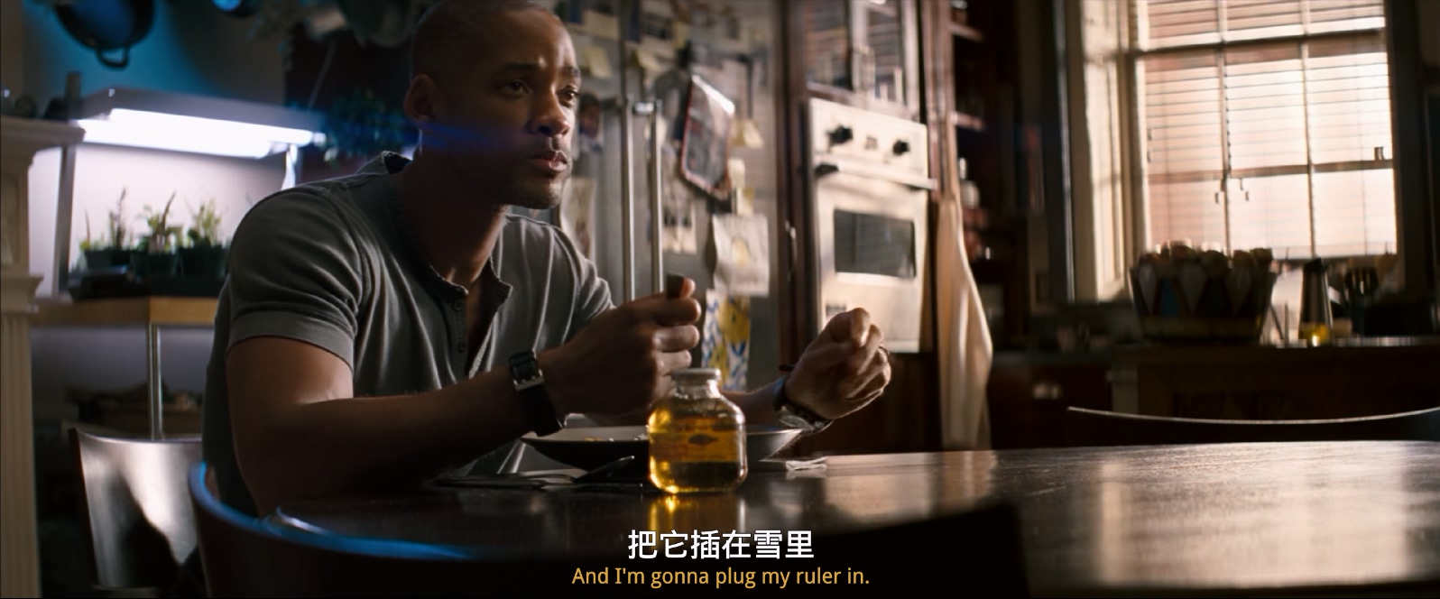 [美国][2007][我是传奇][剧情/动作/惊悚][国英双语][mkv/3.54g][BluRay.1080p.x265.10bit.2Audio.MNHD-FRDS]