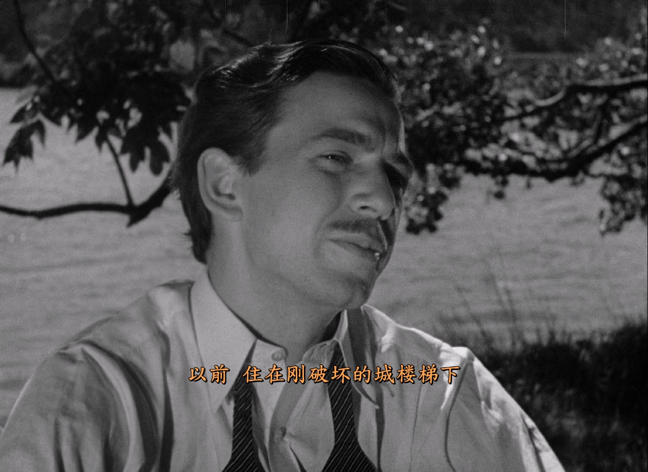 [瑞典][1946][危机][剧情/爱情][简繁字幕][mkv/6g][CC.BluRay.1080p.x265.10bit.FLAC.MNHD-FRDS]