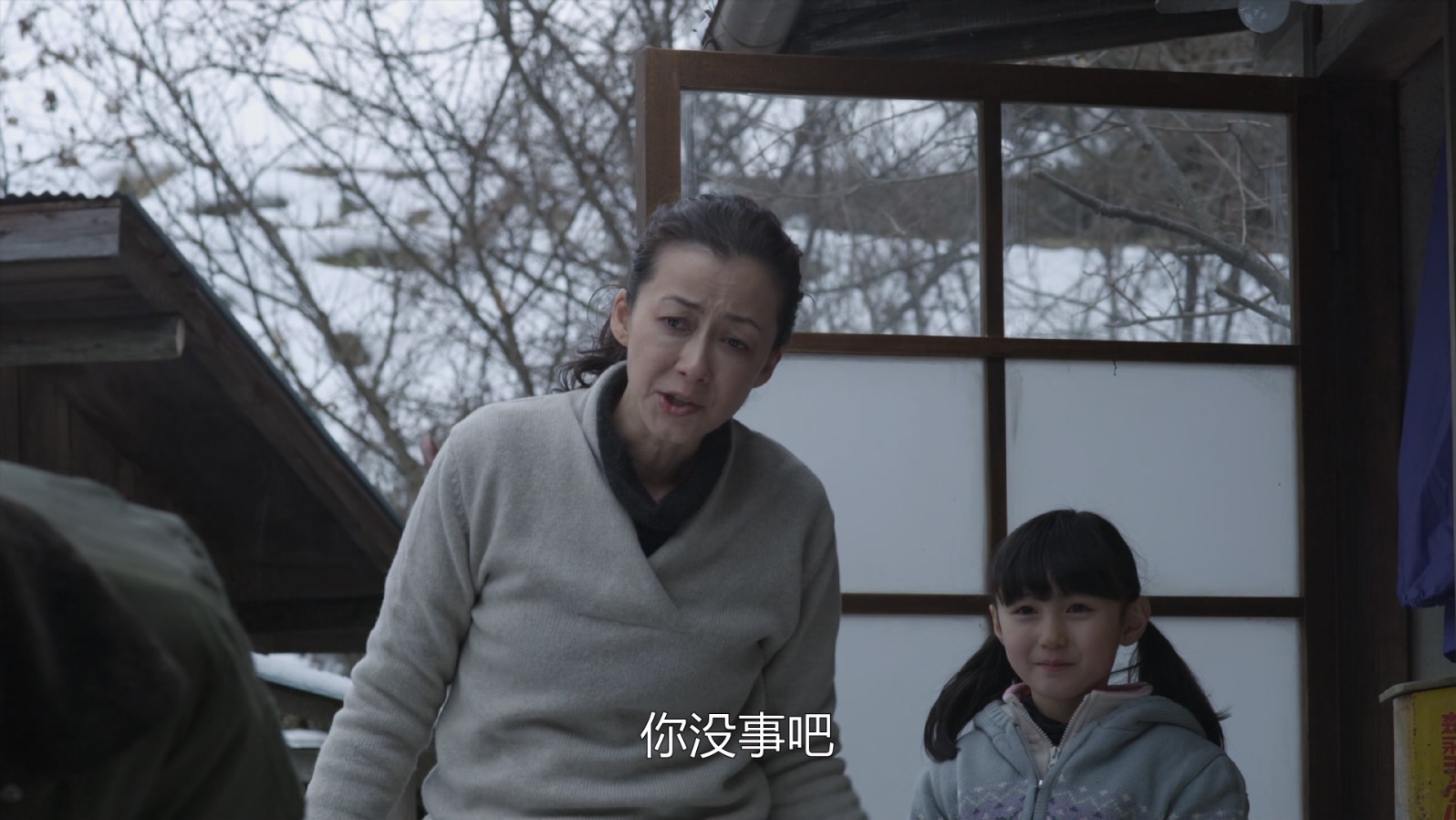 [2015][小森林 冬春篇][剧情][简繁字幕][mkv/4.82g][BluRay.1080p.x265.10bit.MNHD-FRDS]