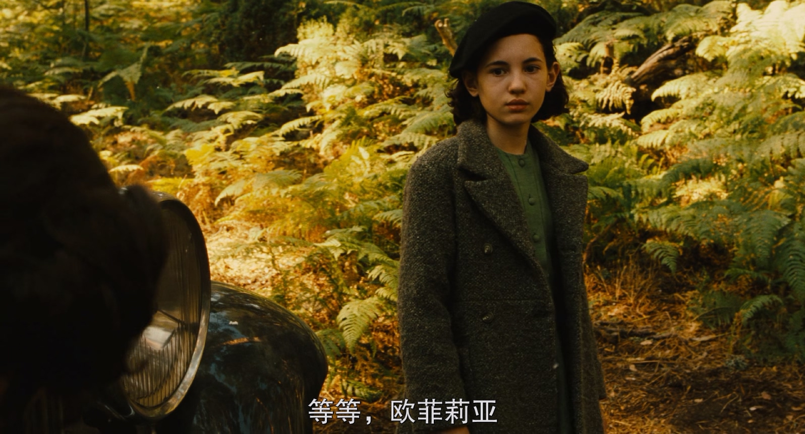 [西班牙/墨西哥][2006][潘神的迷宫][剧情/战争/奇幻][简繁字幕][mkv/4.57g][BluRay.1080p.x265.10bit.2Audio.MNHD-FRDS]