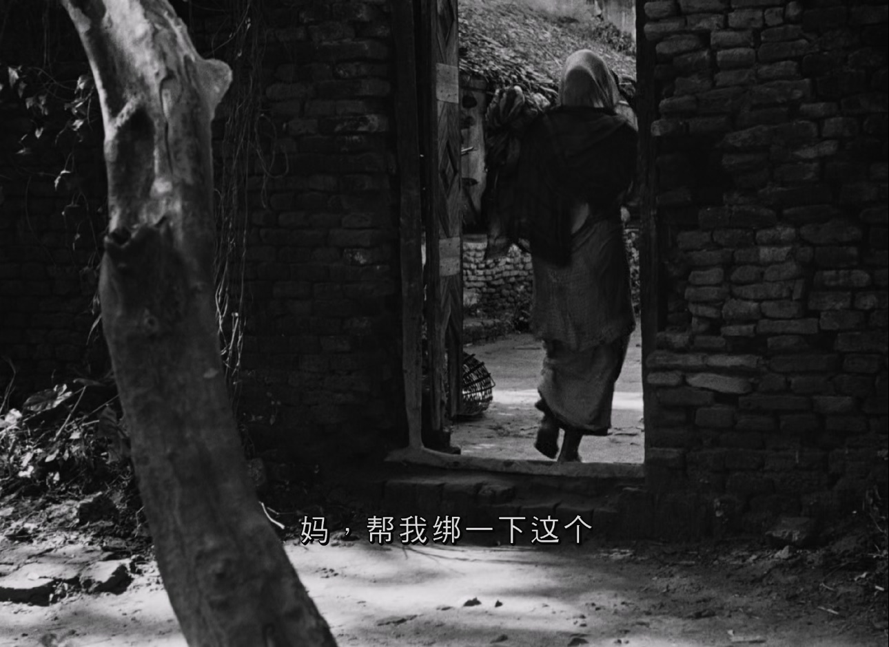 [1955][大地之歌][剧情][简繁字幕][mkv/4.3g][BluRay.1080p.x265.10bit.MNHD-FRDS]
