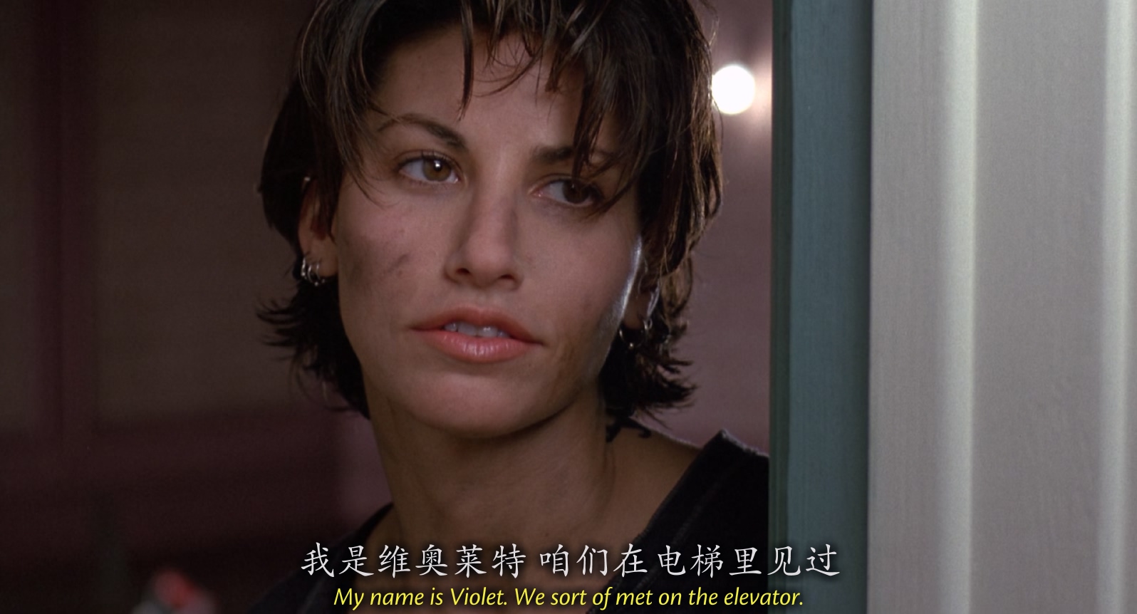 [美国][1996][惊世狂花][剧情/惊悚/同性][中英字幕][mkv/5.22g][BluRay.1080p.x265.10bit.AC3.2Audios-CMCT]