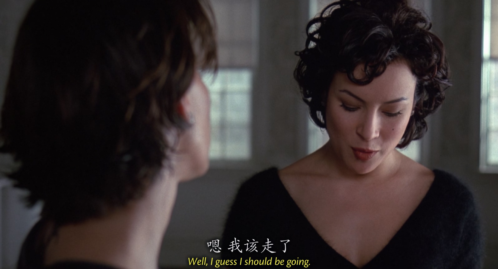 [美国][1996][惊世狂花][剧情/惊悚/同性][中英字幕][mkv/5.22g][BluRay.1080p.x265.10bit.AC3.2Audios-CMCT]