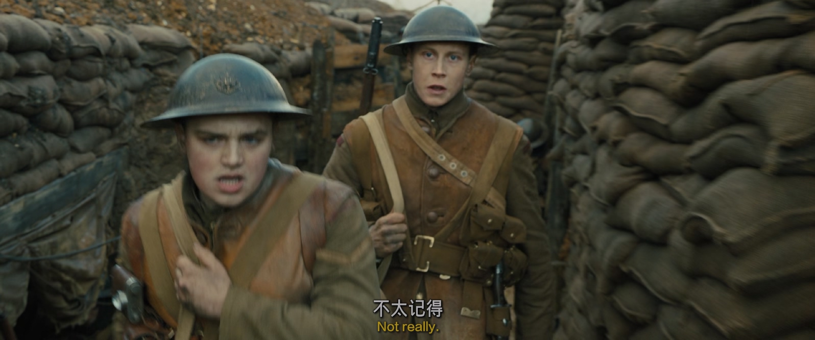 [2019][1917][剧情/战争][中英字幕][mkv/5.74g][BluRay.1080p.x265.10bit.MNHD-FRDS]