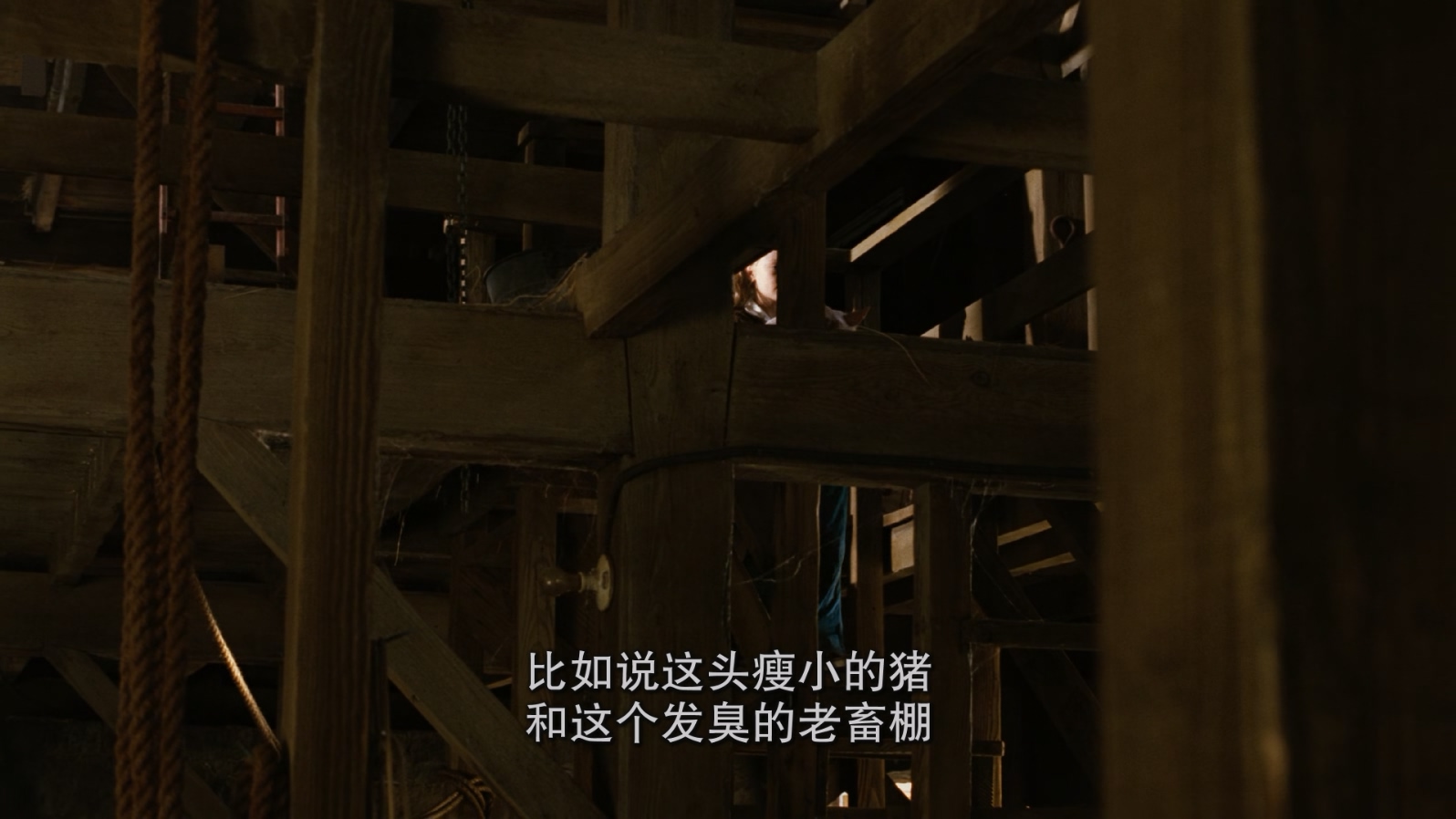 [2006][夏洛特的网][喜剧/家庭/奇幻][国台粤配音 简繁英SUP字幕][mkv/7.25g][BluRay.1080p.x265.10bit.MNHD-FRDS]