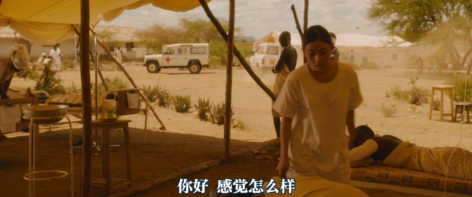 [2015][迎风而立的狮子][剧情][内封中文字幕][mkv/13.13g][1080p.BluRay.x264.DTS-WiKi]