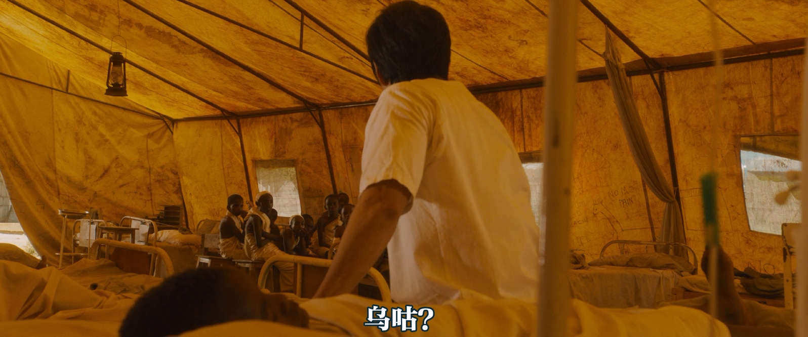 [2015][迎风而立的狮子][剧情][内封中文字幕][mkv/13.13g][1080p.BluRay.x264.DTS-WiKi]