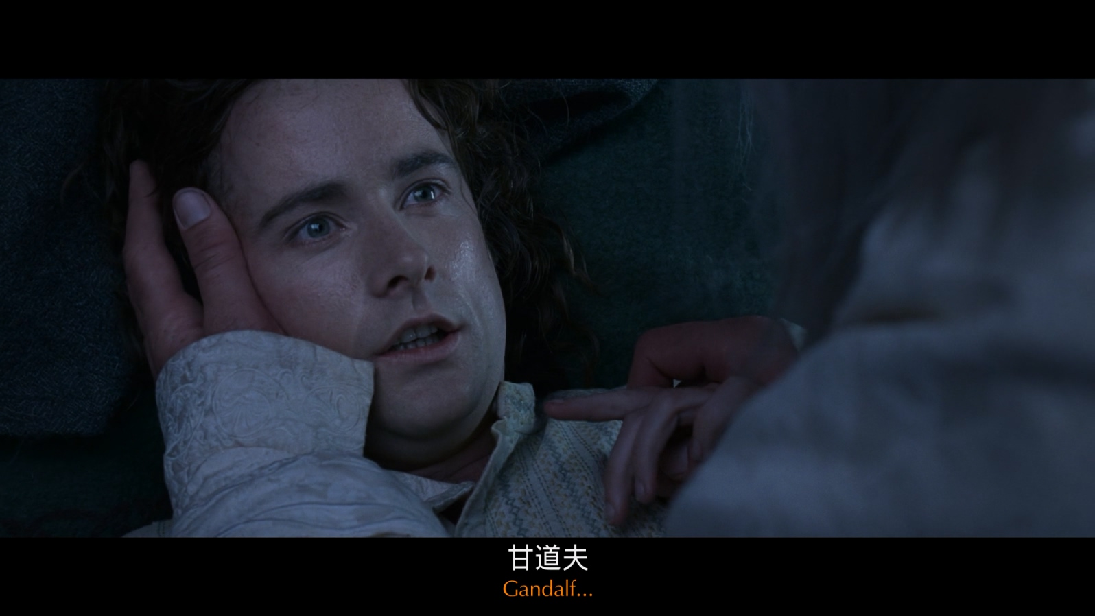 [2003][指环王3：王者无敌][剧情/动作/奇幻][加长版 国英双语 国配/中英字幕][mkv/20.47g][BluRay.1080p.x264.DDP.7.1.2Audios-CMCT]