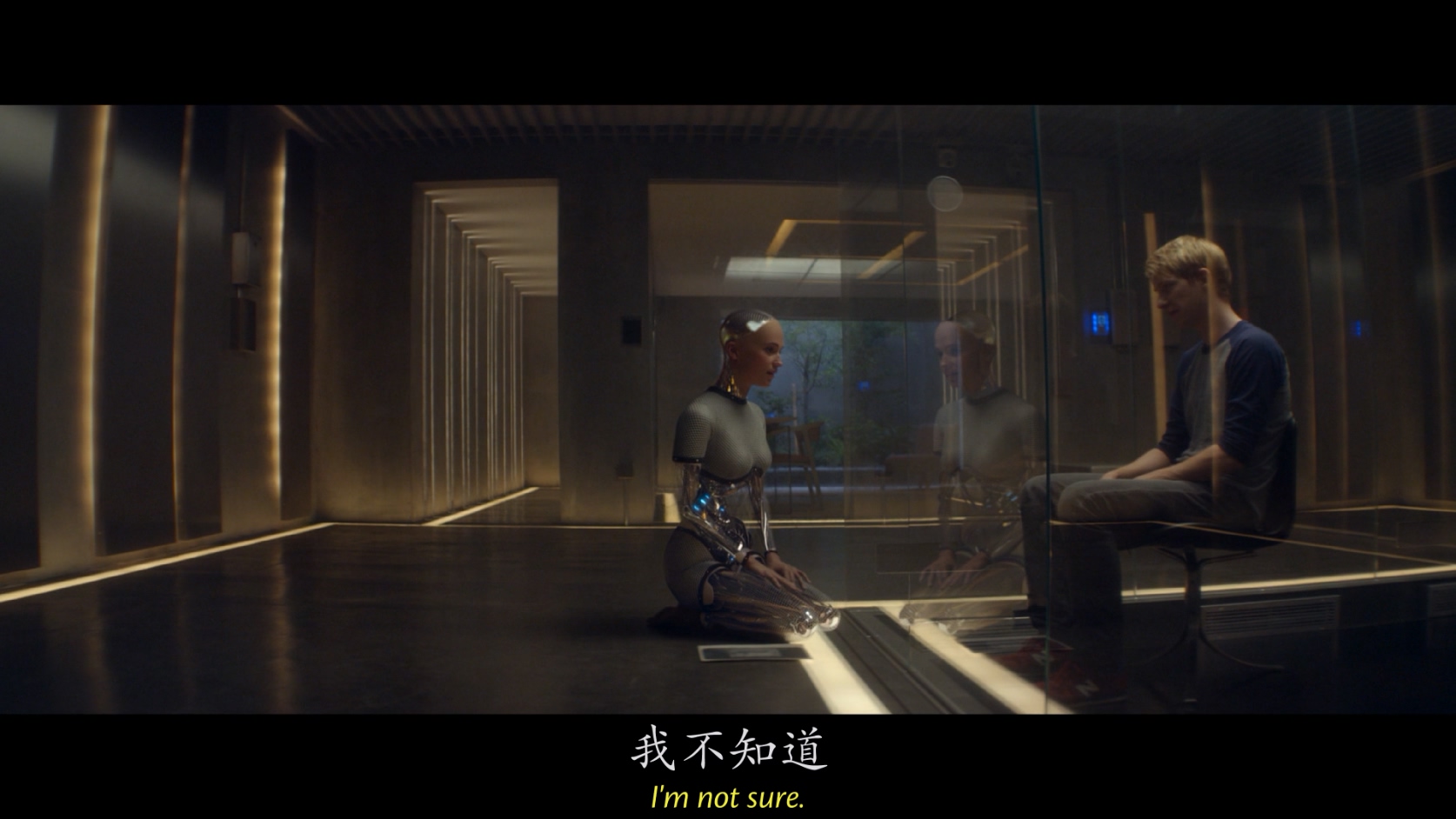 [2014][机械姬][科幻/悬疑/惊悚][中英字幕][mkv/9.97g][BluRay.1080p.x264.DDP.5.1-CMCT]