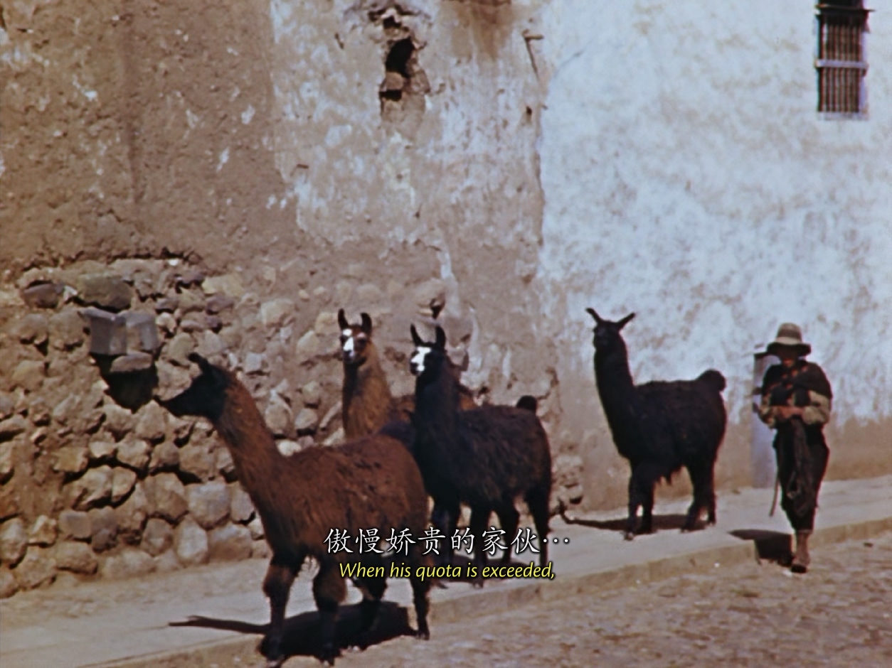 [1943][致候吾友][动画/短片/音乐][中英字幕][mkv/2.19g][BluRay.1080p.x265.10bit.MNHD-FRDS]