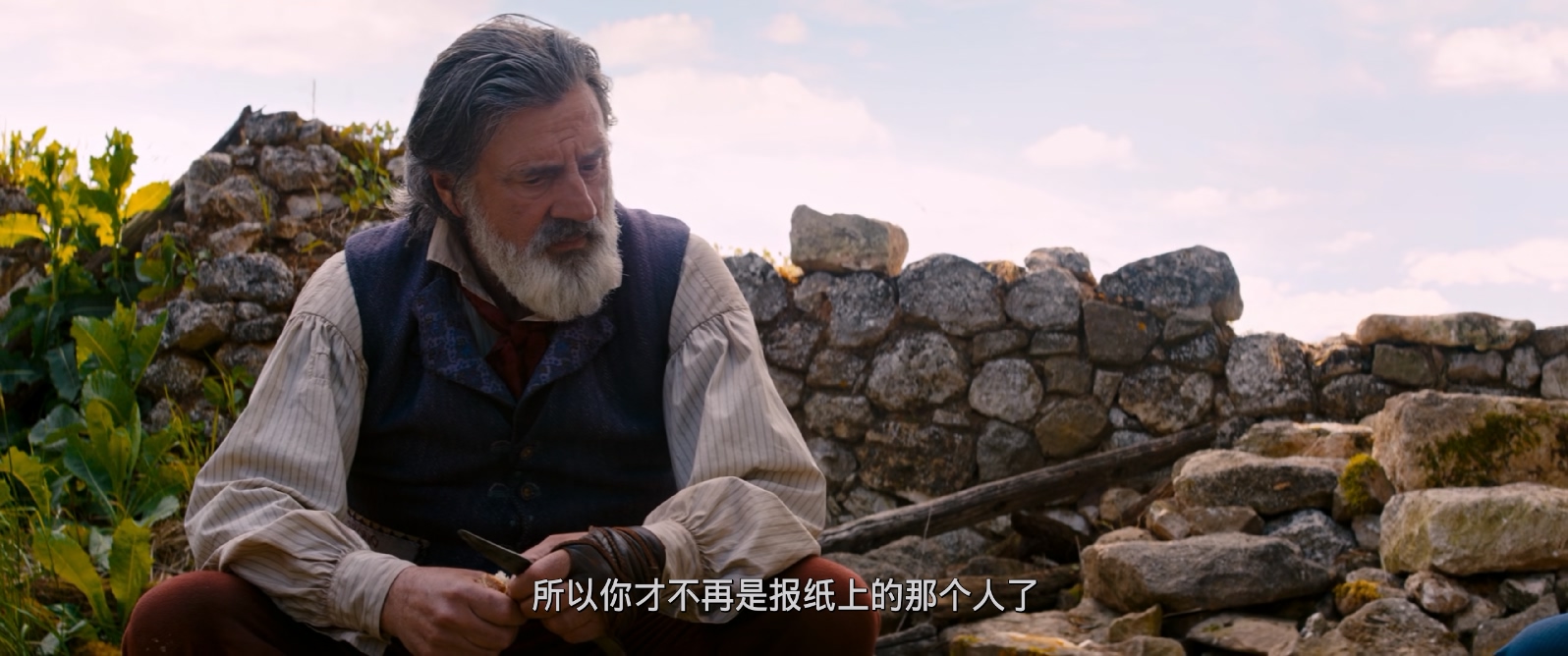[2018][雷米奇遇记][剧情][国法双语 简繁字幕][mkv/8.97g][Bluray.1080p.DTS-HDMA5.1.x265.10bit-CHD]