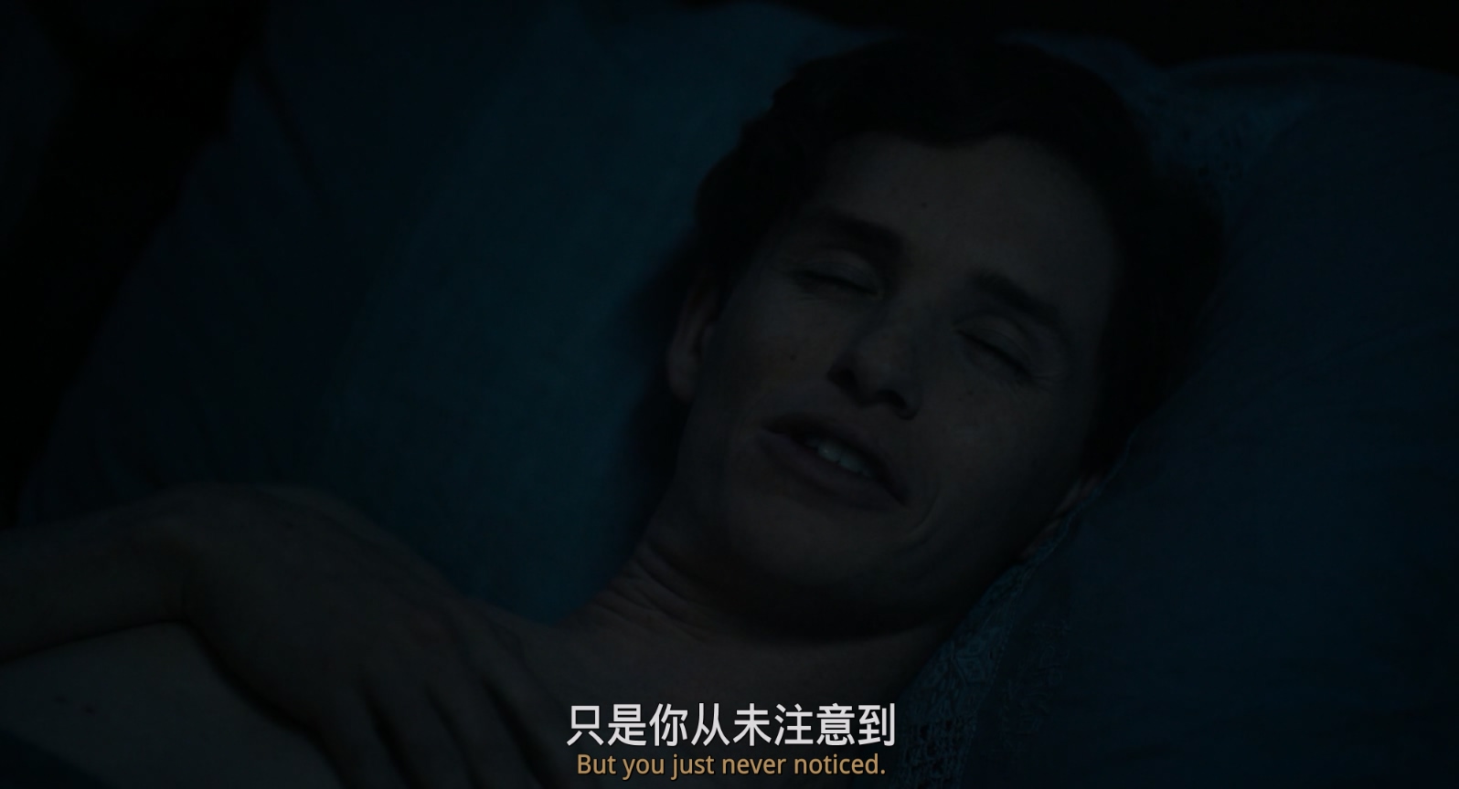 [2015][丹麦女孩][剧情/爱情/同性][中英字幕][mkv/8.13g][Bluray.1080p.DTS-HDMA5.1.x265.10bit-CHD]