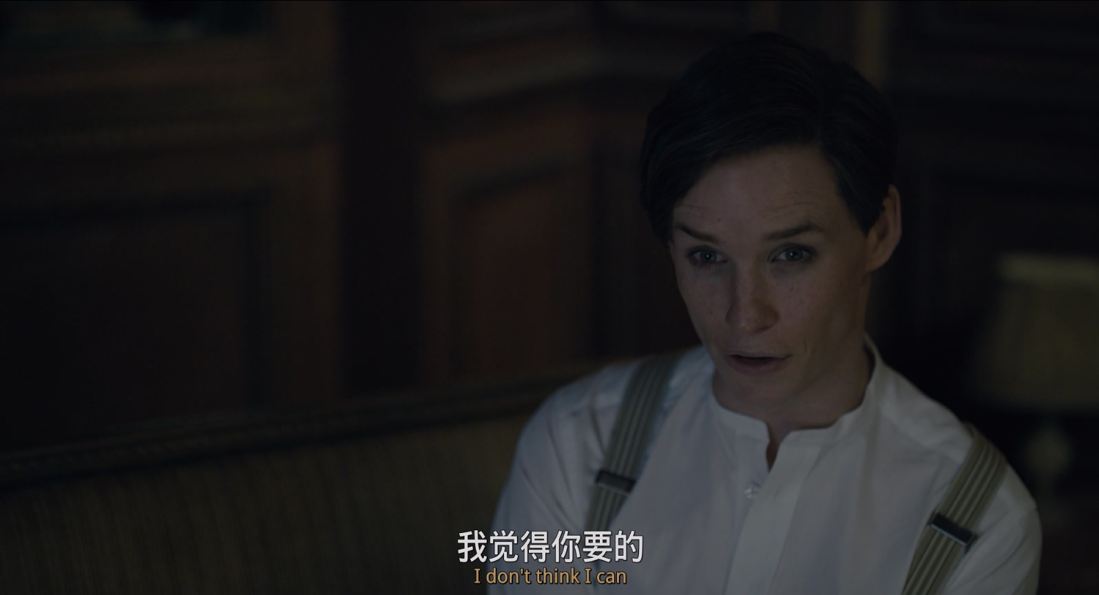 [2015][丹麦女孩][剧情/爱情/同性][中英字幕][mkv/8.13g][Bluray.1080p.DTS-HDMA5.1.x265.10bit-CHD]