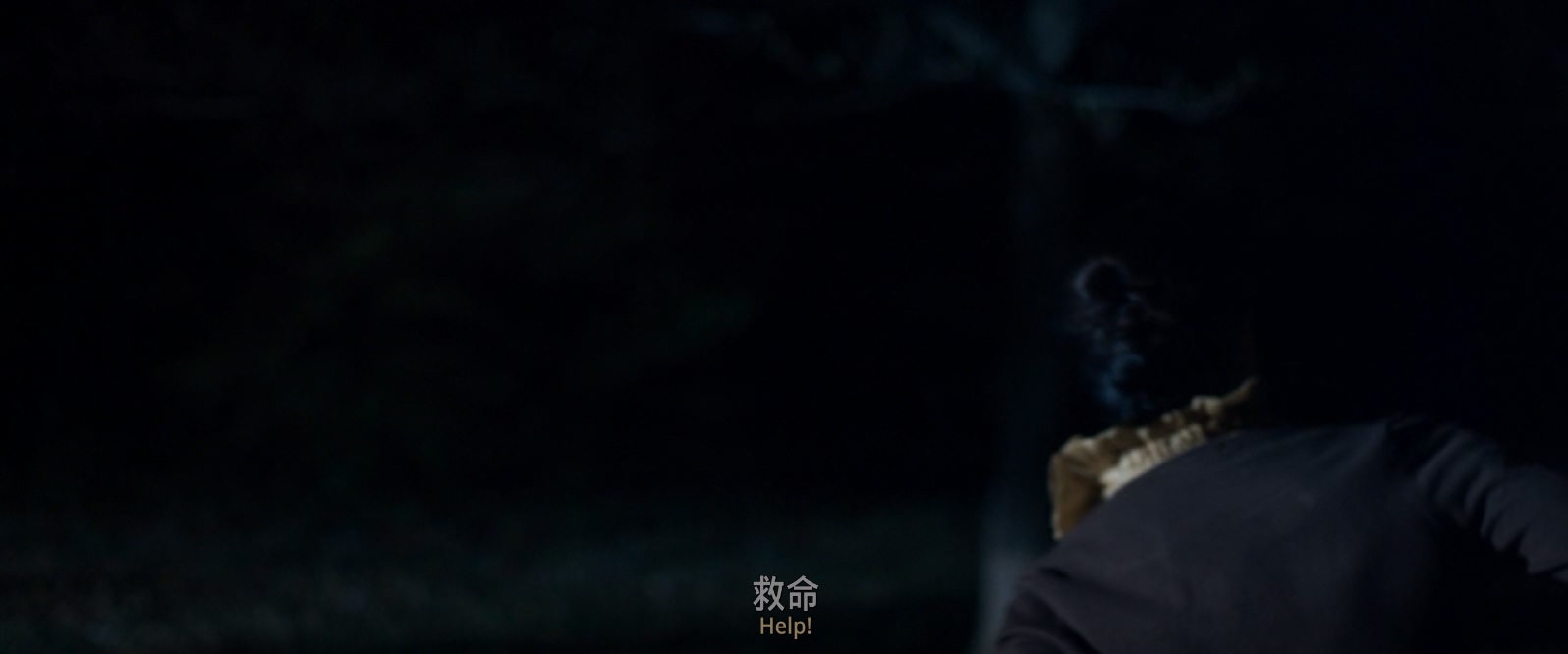 [2011][你是下一个][惊悚/恐怖][中英字幕][mkv/4.51g][Bluray.1080p.DTS-HDMA5.1.x265.10bit-CHD]