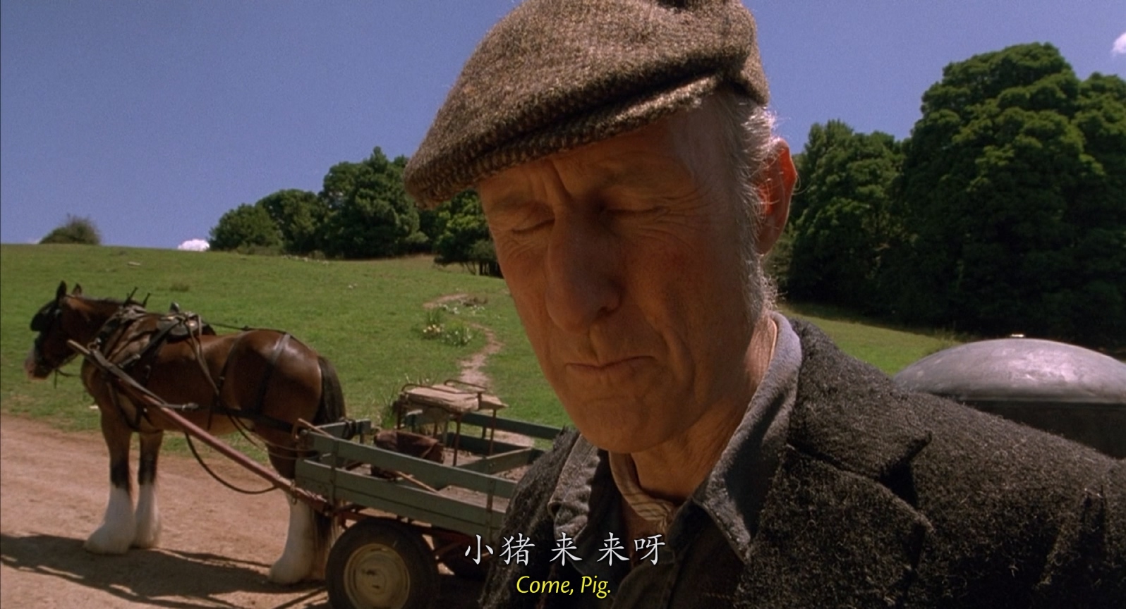 [1995][小猪宝贝][剧情/喜剧][中英字幕][mkv/7.95g][BluRay.1080p.x264.DDP.5.1-CMCT]