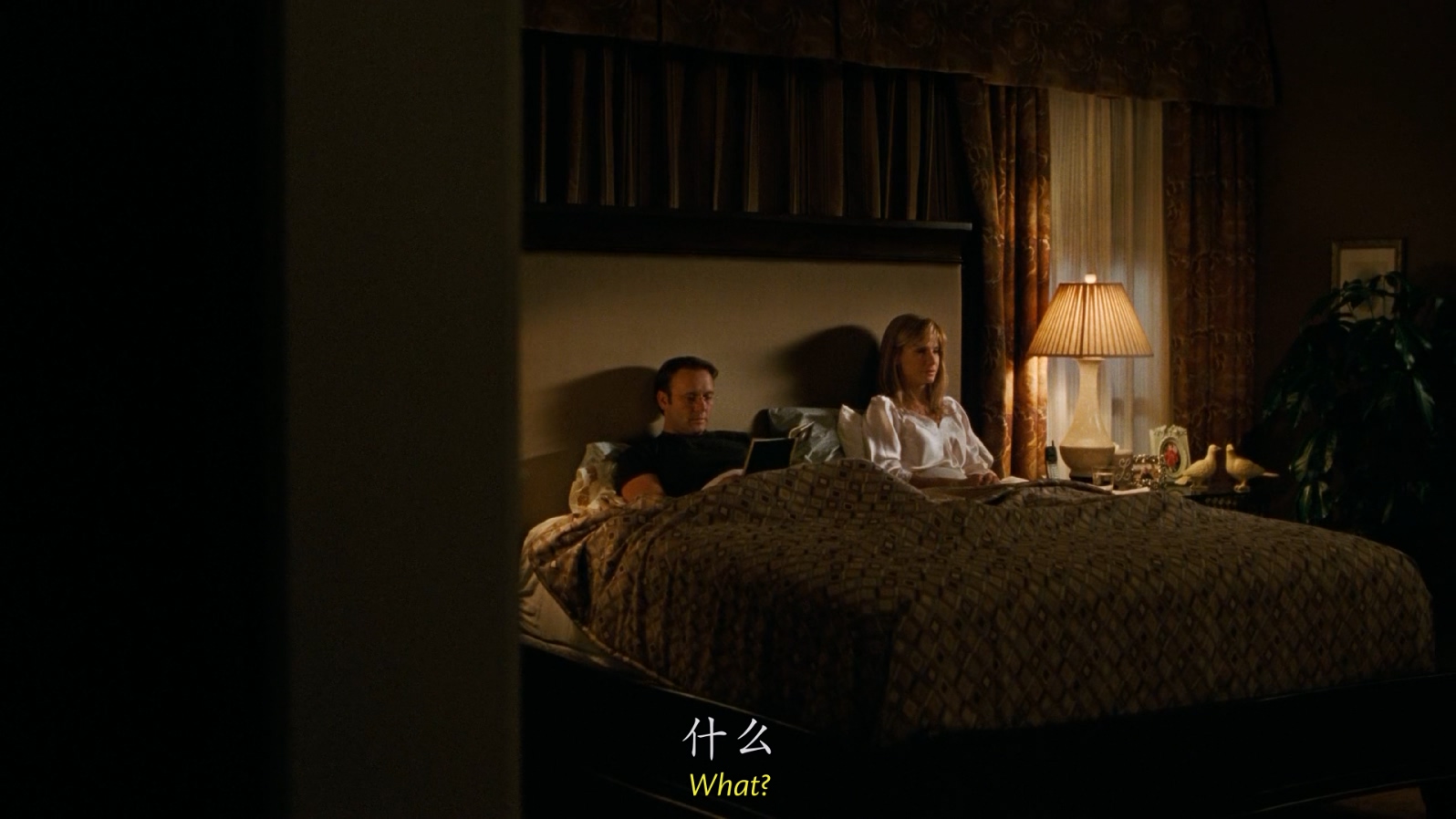 [2009][弱点][剧情/家庭/传记][国英双语 中英字幕][mkv/14.23g][BluRay.1080p.x264.DDP.5.1.2Audios-CMCT]