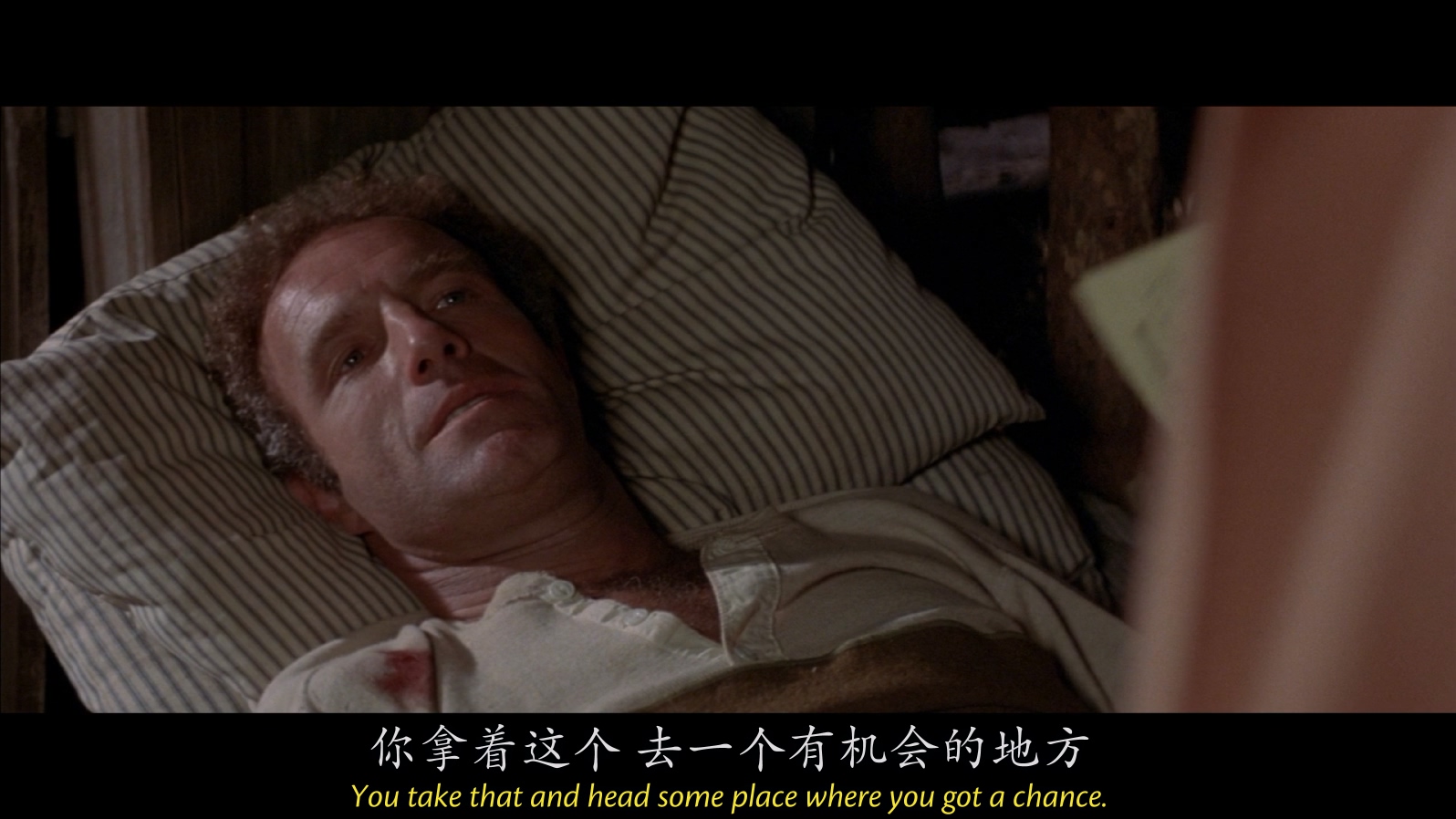 [1978][跃马山庄][剧情/爱情/西部][中英字幕][mkv/11.44g][BluRay.1080p.x264.FLAC.2.0-CMCT]