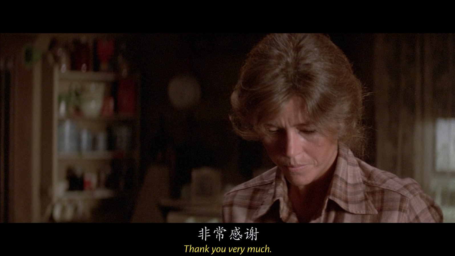 [1978][跃马山庄][剧情/爱情/西部][中英字幕][mkv/11.44g][BluRay.1080p.x264.FLAC.2.0-CMCT]