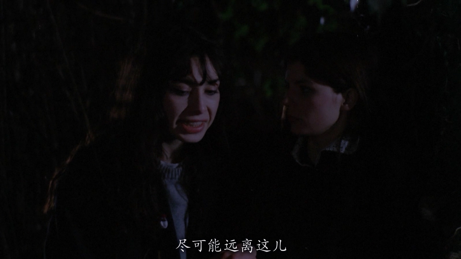 [1981][逃亡者][剧情][简繁字幕][mkv/8.99g][BluRay.1080p.x264.FLAC.2.0-CMCT]