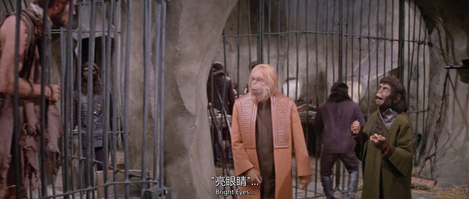 [1968][人猿星球][科幻/悬疑/冒险][简繁英字幕][mkv/7.79g][BluRay.1080p.DD5.1.x264-BMDru.]
