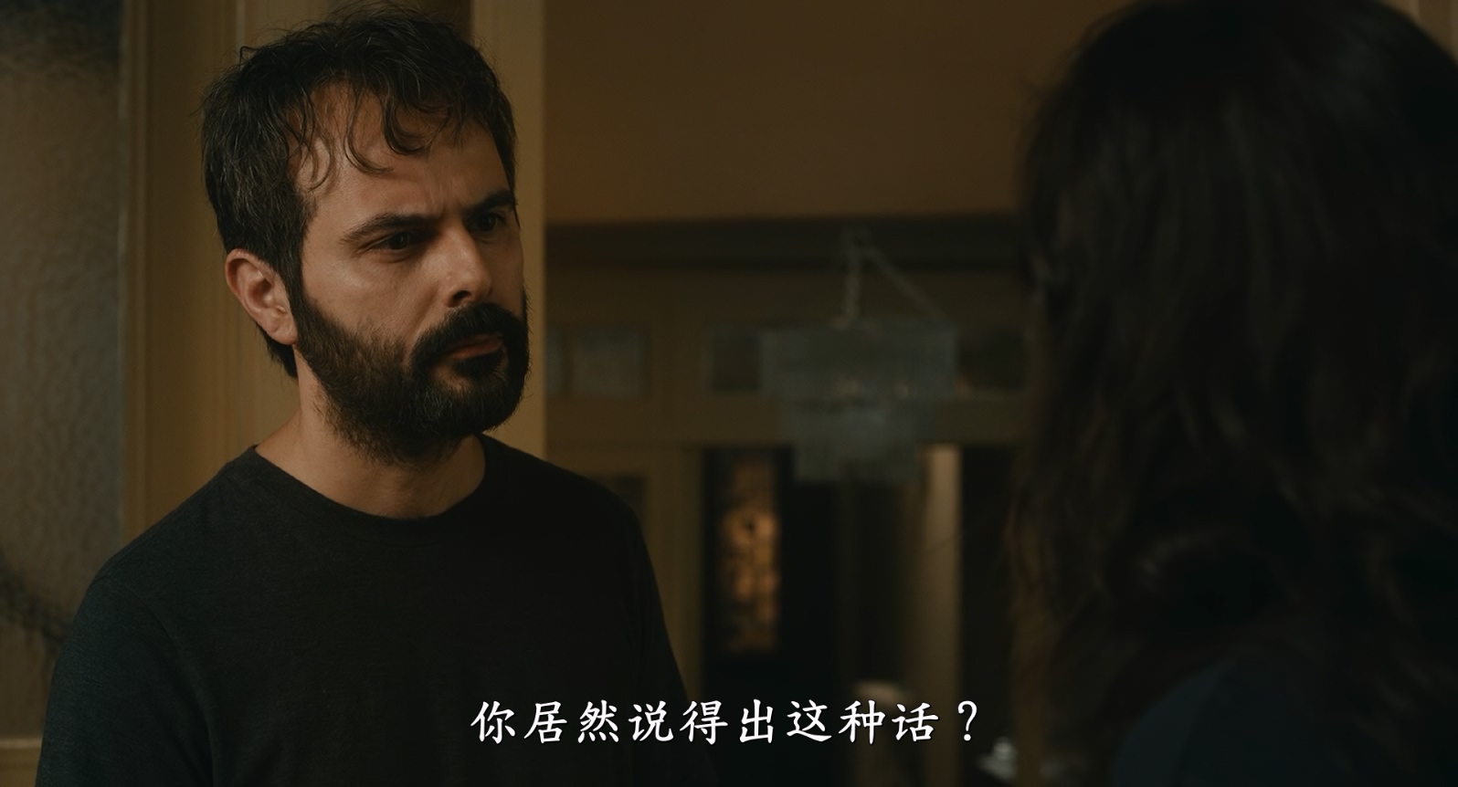 [2013][过往][剧情][简繁字幕][mkv/8.11g][Bluray.1080p.DTS-HDMA5.1.x265.10bit-CHD]
