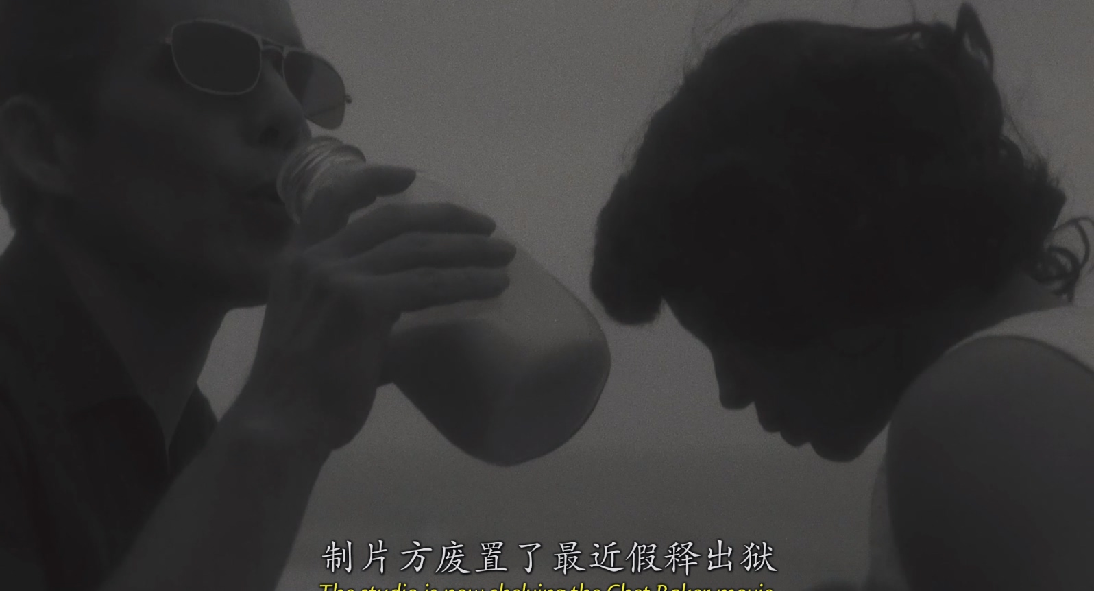 [2015][生为蓝调][剧情/音乐/传记][中英字幕][mkv/7.55g][BluRay.1080p.x264.DDP.5.1-CMCT]