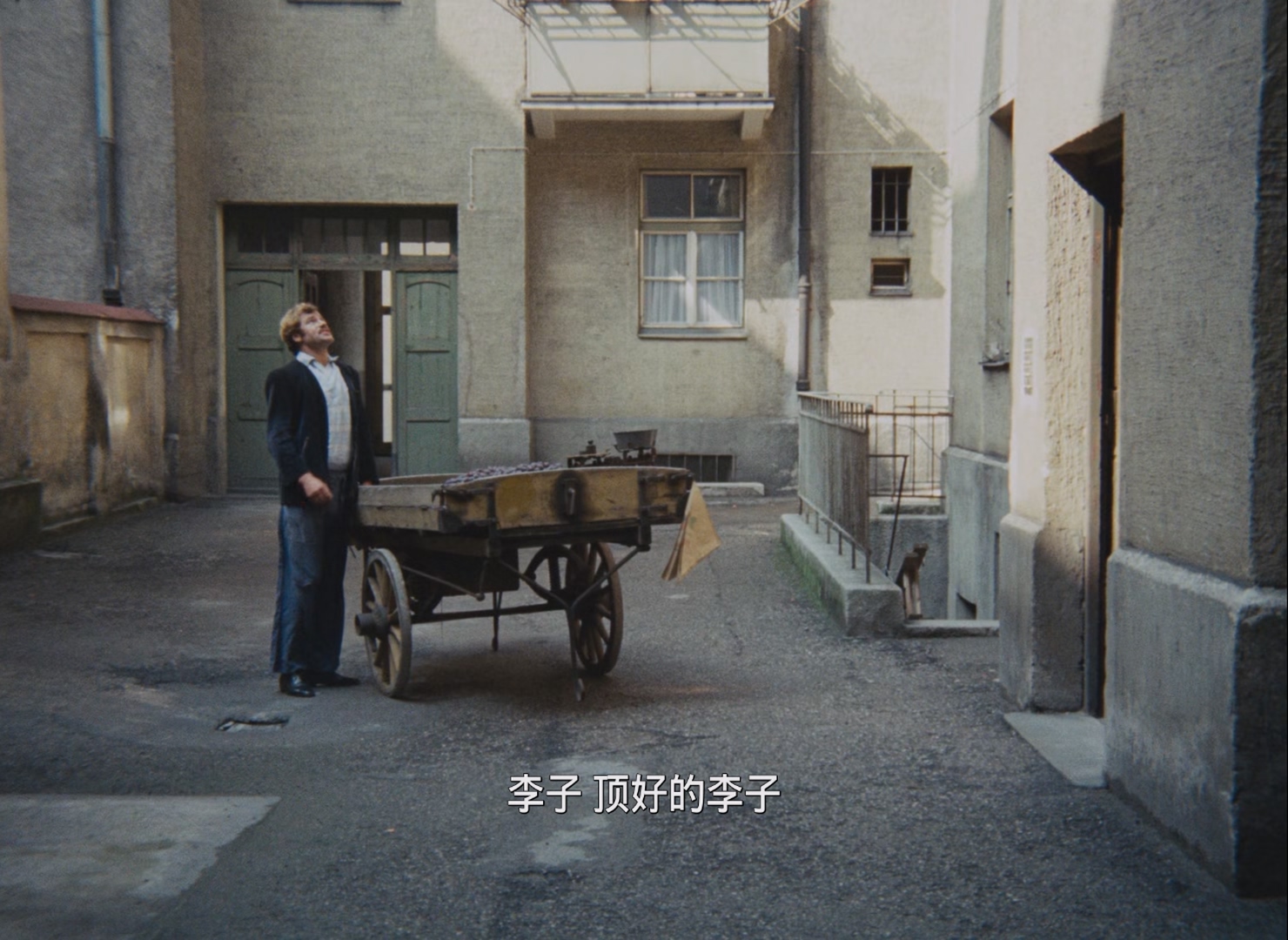 [ed2k][1972][四季商人][汉斯·希尔斯缪勒/伊尔姆·赫尔曼][剧情][简繁字幕][MKV/8.33GiB][BluRay.1080p.x265.10bit.FLAC.RERIP.MNHD-FRDS]