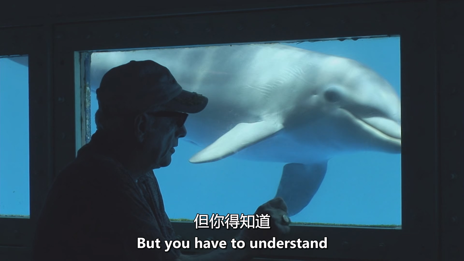 [ed2k][2009][海豚湾][路易·西霍尤斯/瑞克·欧贝瑞][纪录片][中英字幕][MKV/4.21GiB][BluRay.1080p.x265.10bit.MNHD-FRDS]