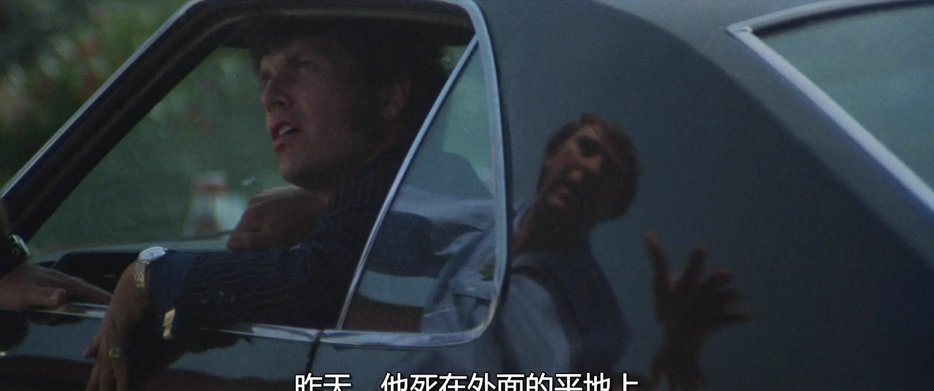 [ed2k][1973][漫长的告别][埃利奥特·古尔德/妮娜·范·帕朗特][剧情/悬疑/惊悚][中文字幕][MKV/13.72GiB][BluRay.1080p.x265.10bit.FLAC.MNHD-FRDS]