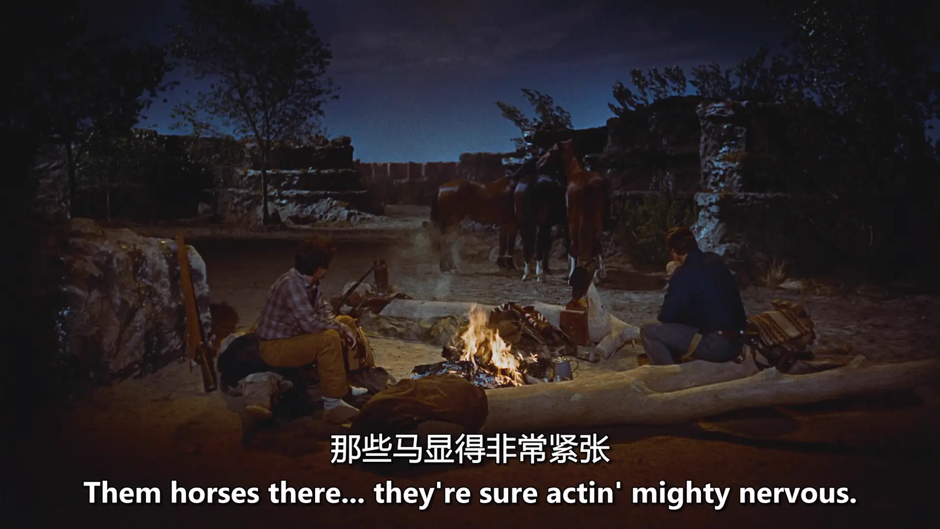 [ed2k][1956][搜索者][约翰·韦恩/杰弗里·亨特][剧情/西部/冒险][双语字幕][MKV/7.53GiB][Bluray.1080p.x265.10bit.DD.1.0.MNHD-FRDS]