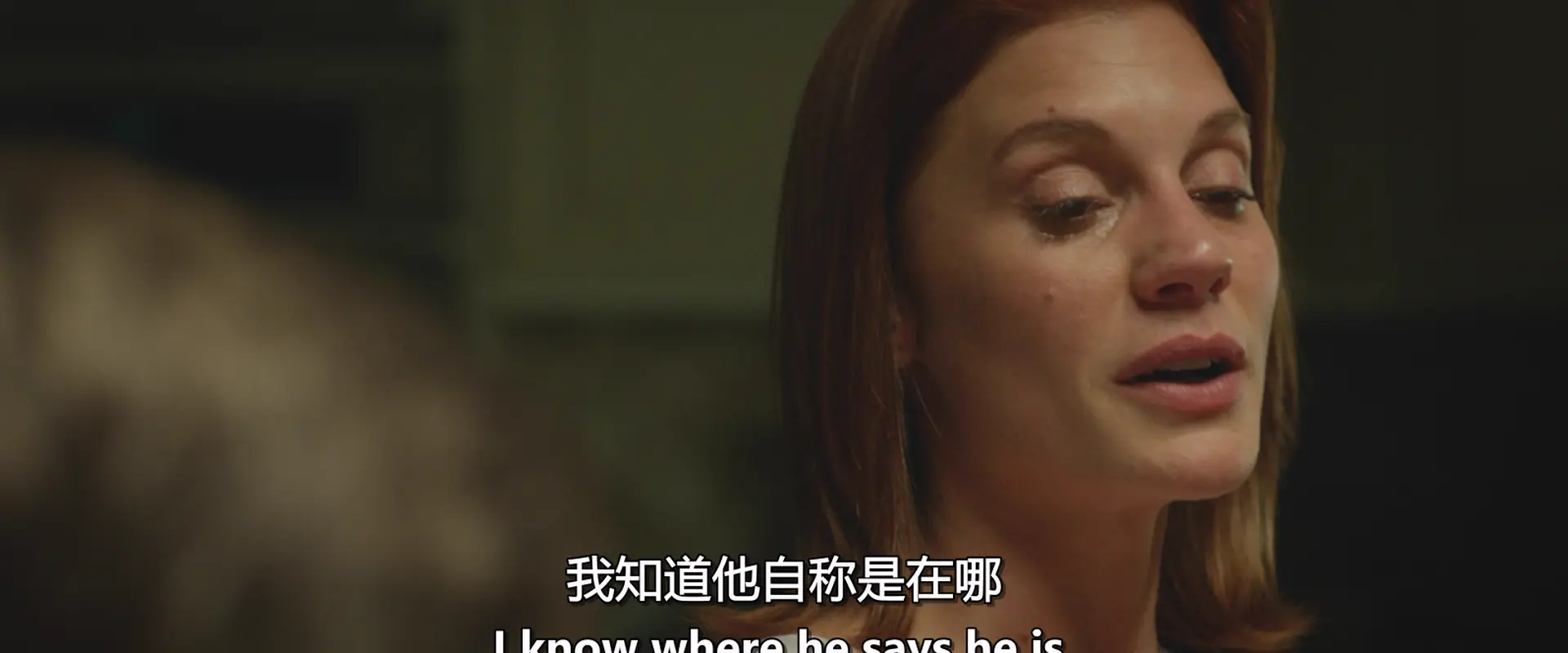 [ed2k][2014][鬼遮眼][凯伦·吉兰/布伦顿·思韦茨][恐怖][中英字幕][MKV/3.90GiB][BluRay.1080p.MNHD-FRDS]