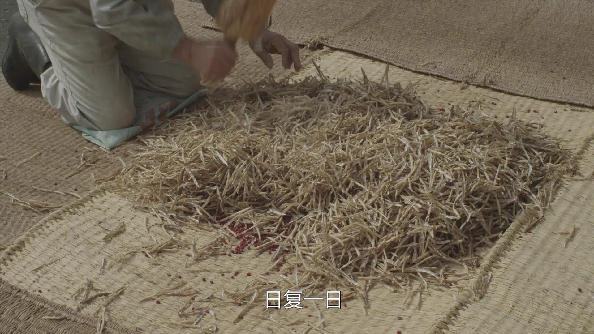 [ed2k][2015][小森林 冬春篇][桥本爱/三浦贵大][剧情][简繁字幕][MKV/4.82GiB][BluRay.1080p.x265.10bit.MNHD-FRDS]
