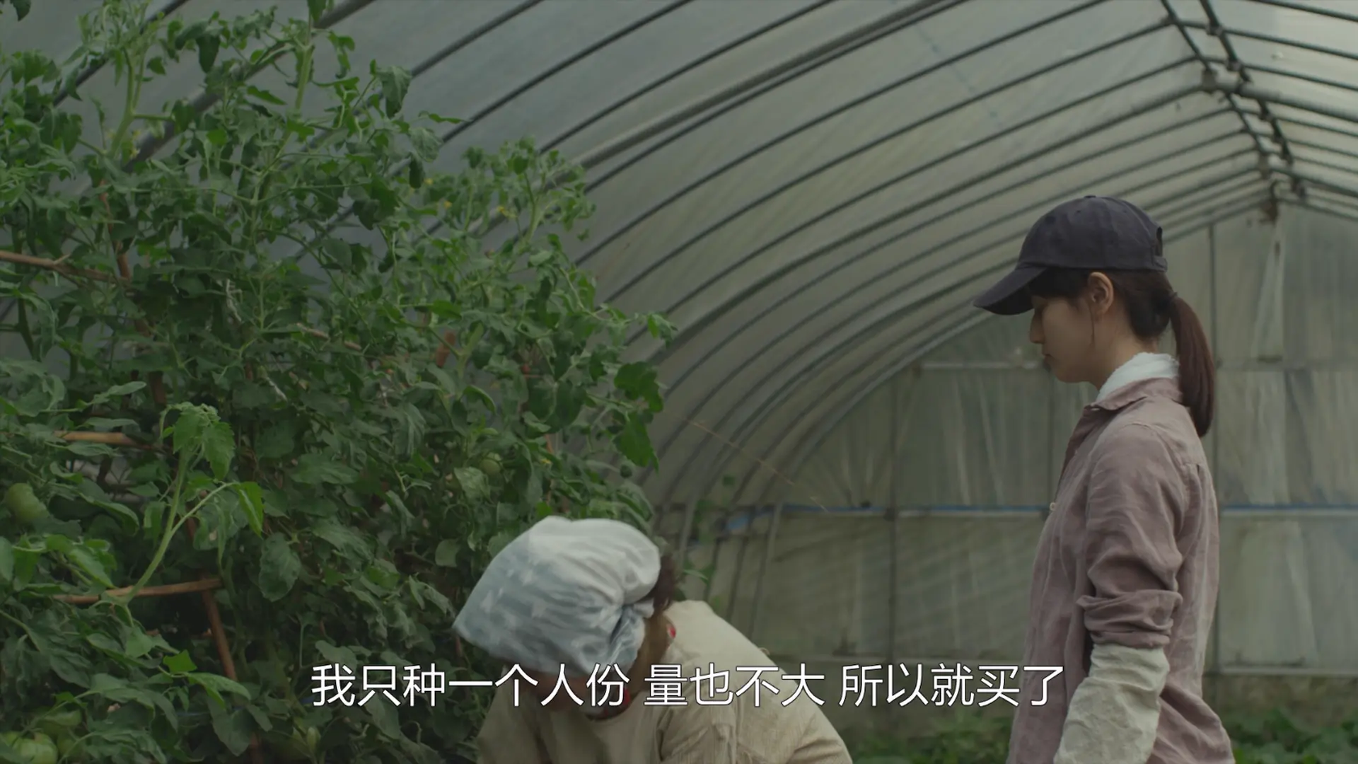 [ed2k][2014][小森林 夏秋篇][桥本爱/三浦贵大][剧情][简繁字幕][MKV/5.01GiB][BluRay.1080p.x265.10bit.MNHD-FRDS]