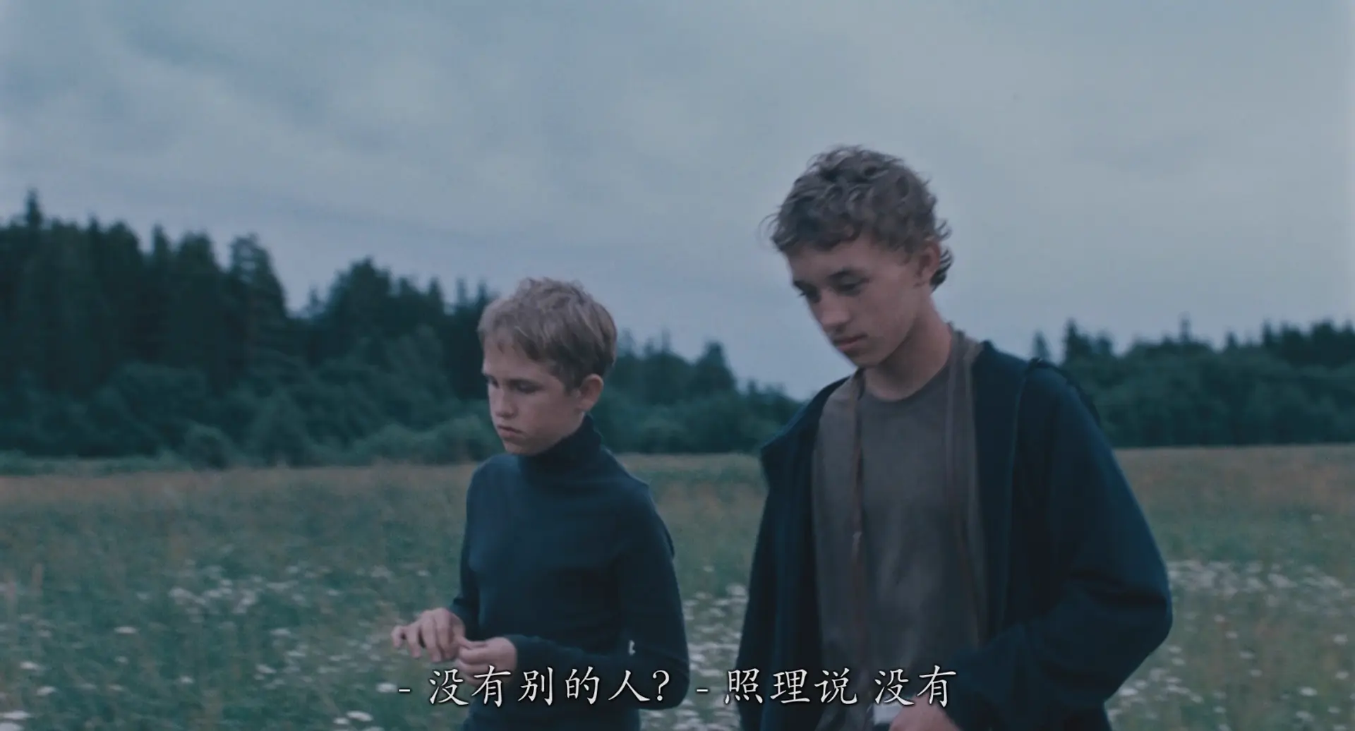 [ed2k][2003][回归][弗拉迪米尔·加林/伊万·杜布朗拉沃夫][剧情/家庭][国俄双语][MKV/12.70GiB][BluRay.1080p.x264.DDP.5.1.2Audios-CMCT]