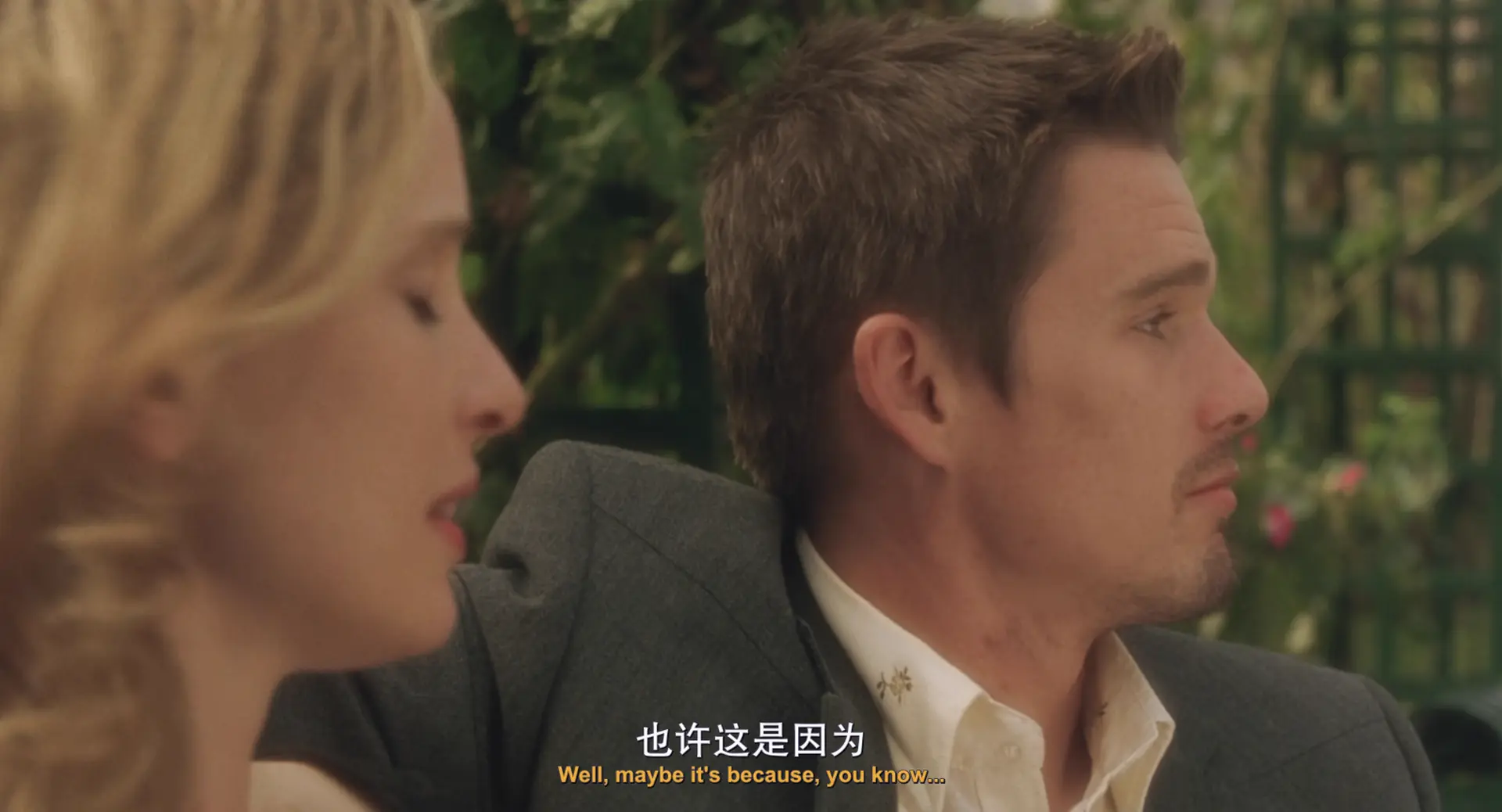 [ed2k][2004][爱在日落黄昏时][伊桑·霍克/朱莉·德尔佩][剧情/爱情][中英字幕][MKV/3.74GiB][BluRay.1080p.x265.10bit.MNHD-FRDS]