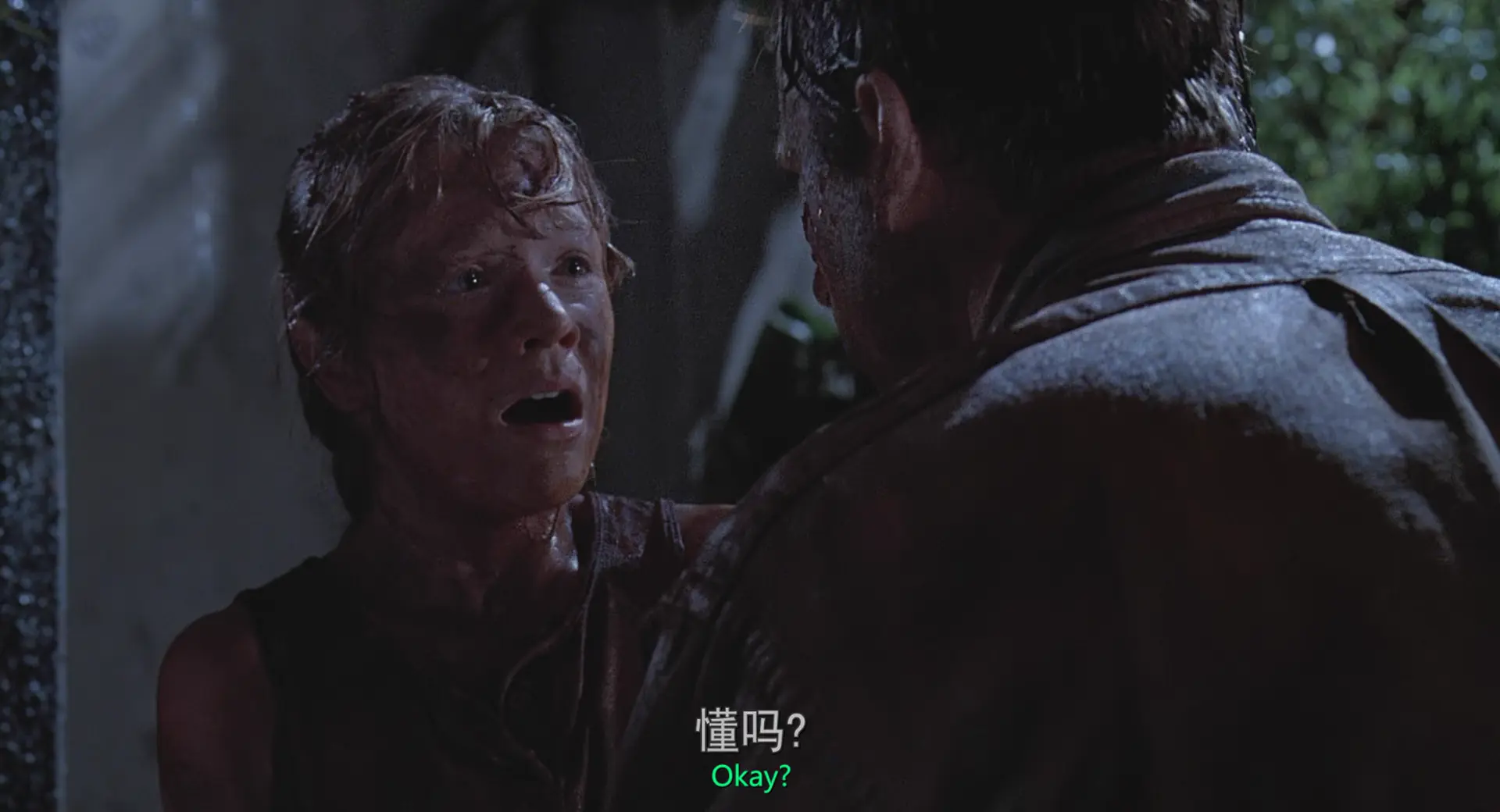 [ed2k][1993][侏罗纪公园][山姆·尼尔/劳拉·邓恩][科幻/惊悚/冒险][国英双语][MKV/7.03GiB][BluRay.1080p.x265.10bit.2Audio.MNHD-FRDS]