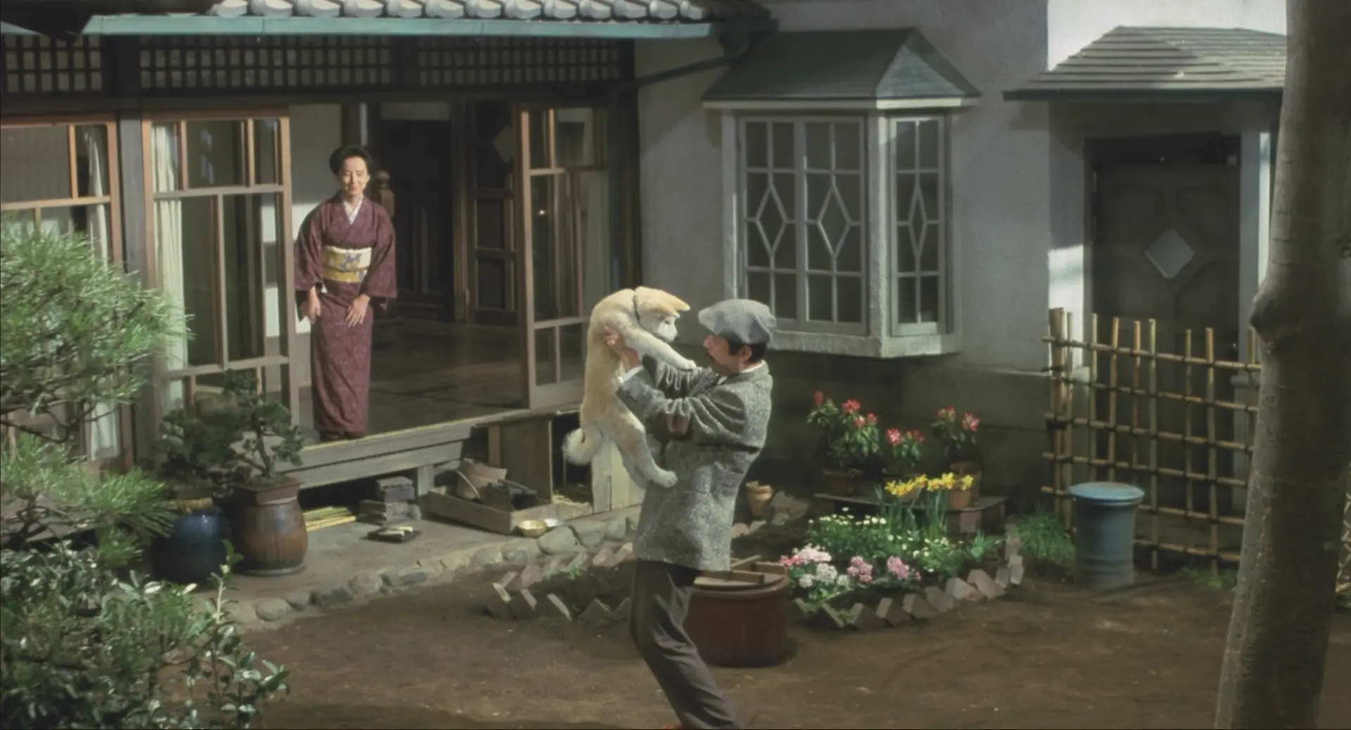 [ed2k][1987][忠犬八公物语][仲代达矢/八千草薰][剧情][国日双语][MKV/5.17GiB][BluRay.1080p.x265.10bit.3Audio.MNHD-FRDS]