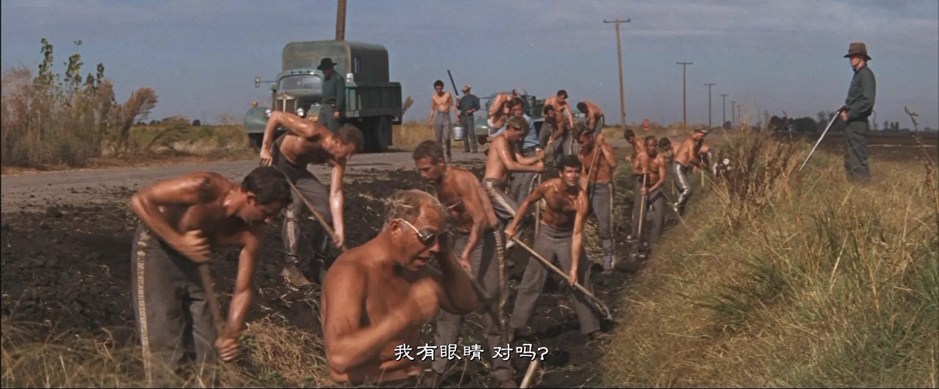 [ed2k][1967][铁窗喋血][保罗·纽曼/乔治·肯尼迪][剧情/犯罪][简繁英字幕][MKV/5.44GiB][BluRay.1080p.x265.10bit.MNHD-FRDS]