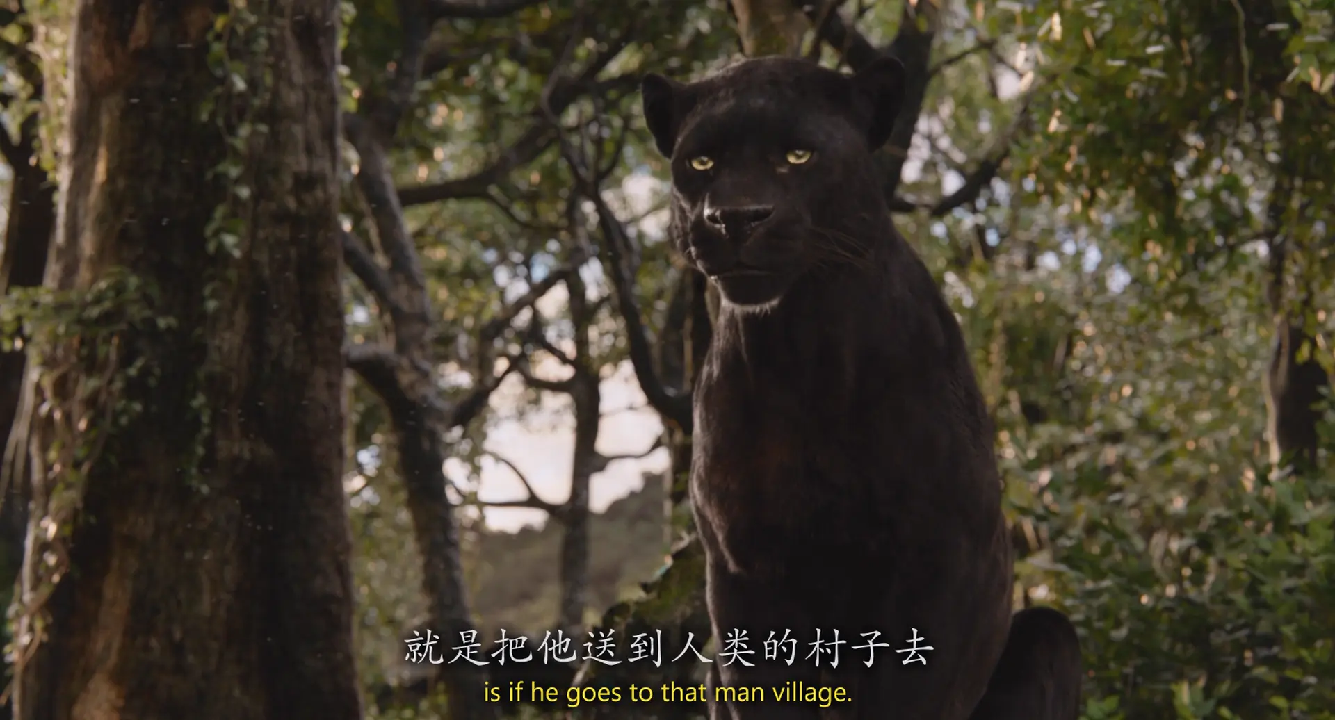 [ed2k][2016][奇幻森林][尼尔·塞西/比尔·默瑞][剧情/奇幻/冒险][国英双语][MKV/10.48GiB][BluRay.1080p.x264.DTS.2Audios-CMCT]