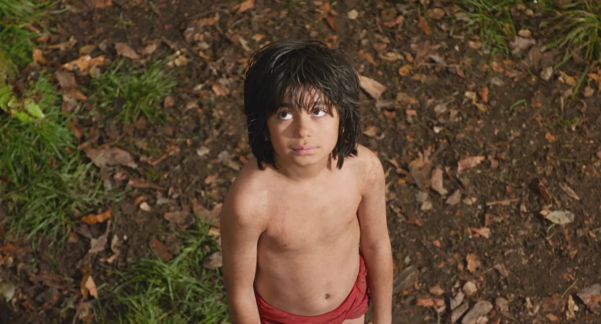 [ed2k][2016][奇幻森林][尼尔·塞西/比尔·默瑞][剧情/奇幻/冒险][国英双语][MKV/10.48GiB][BluRay.1080p.x264.DTS.2Audios-CMCT]