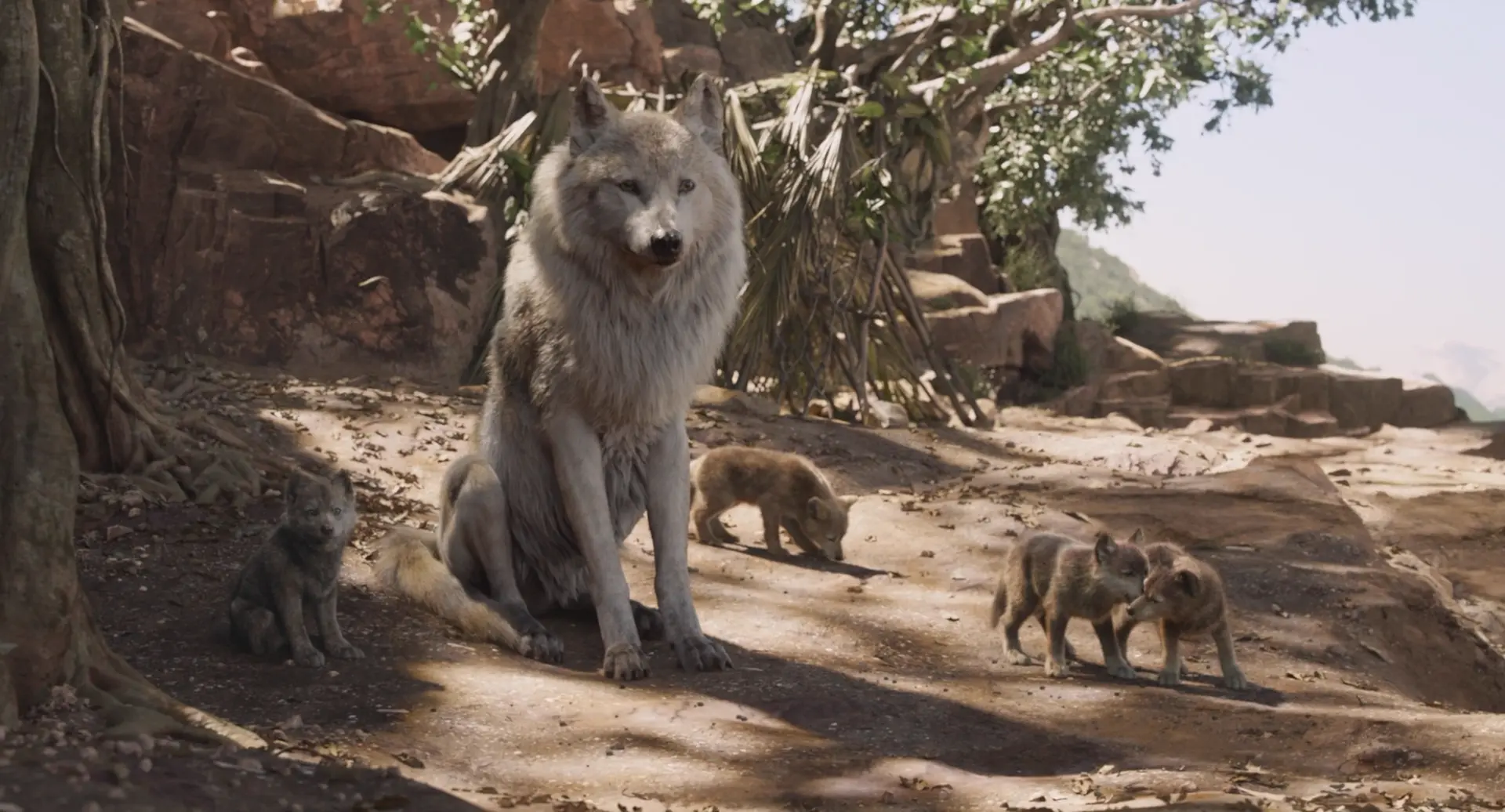 [ed2k][2016][奇幻森林][尼尔·塞西/比尔·默瑞][剧情/奇幻/冒险][国英双语][MKV/10.48GiB][BluRay.1080p.x264.DTS.2Audios-CMCT]