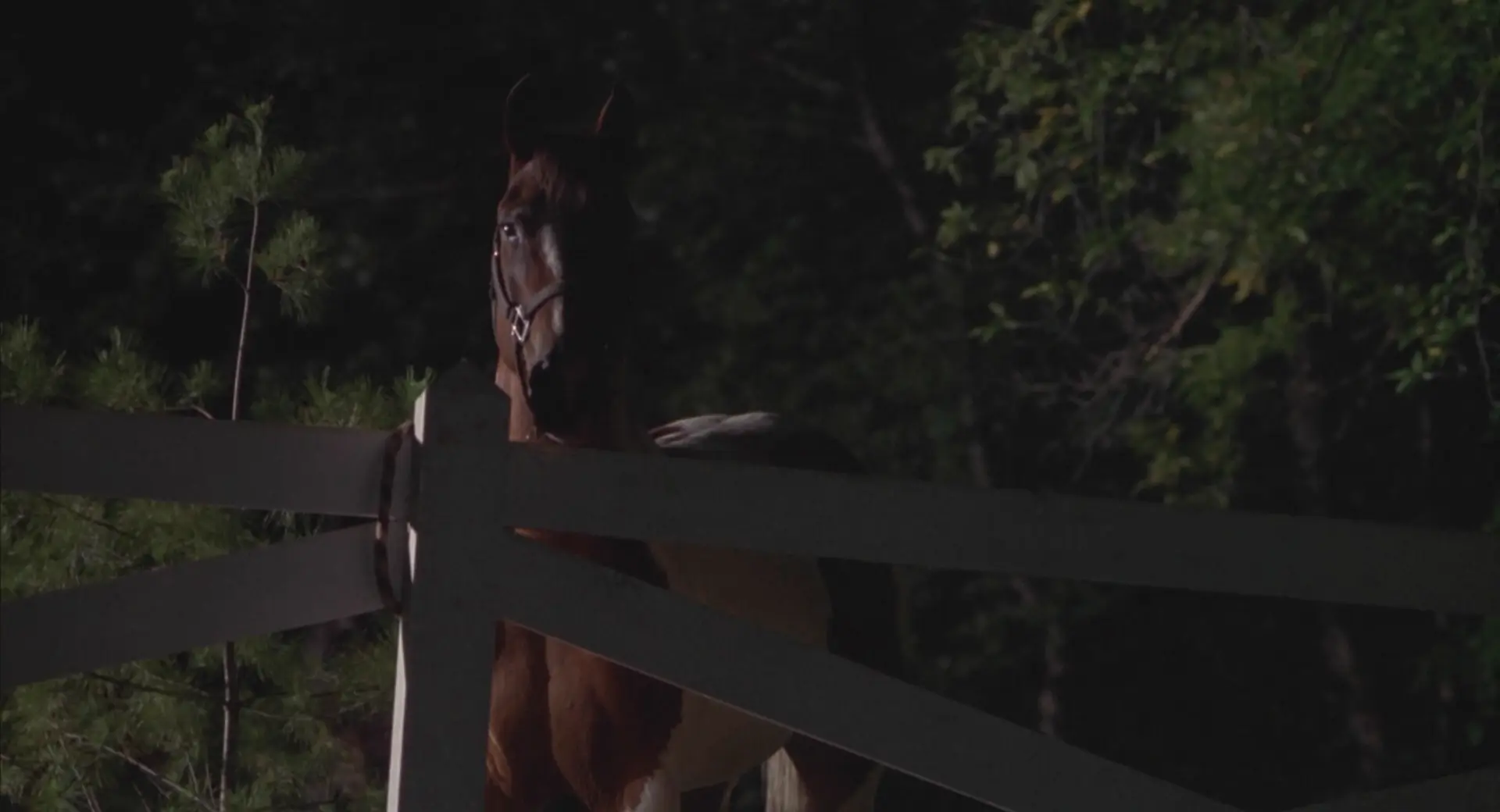 [ed2k][1995][鳄鱼波鞋走天涯][布拉德·兰弗洛/埃里克·伊根][剧情/冒险][中英字幕][MKV/8.59GiB][BluRay.1080p.x264.DTS-CMCT]