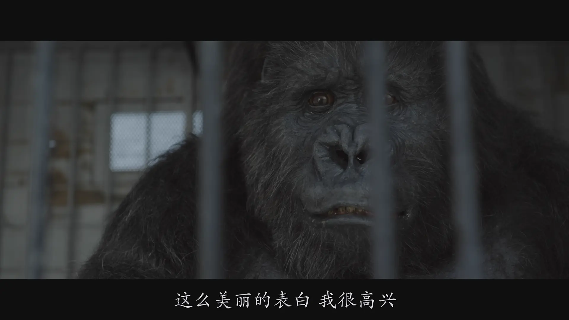 [ed2k][2015][超新约全书][伯努瓦·波尔沃德/凯瑟琳·德纳芙][喜剧/奇幻][简繁字幕][MKV/5.65GiB][BluRay.1080p.x265.10bit.AC3-CMCT]