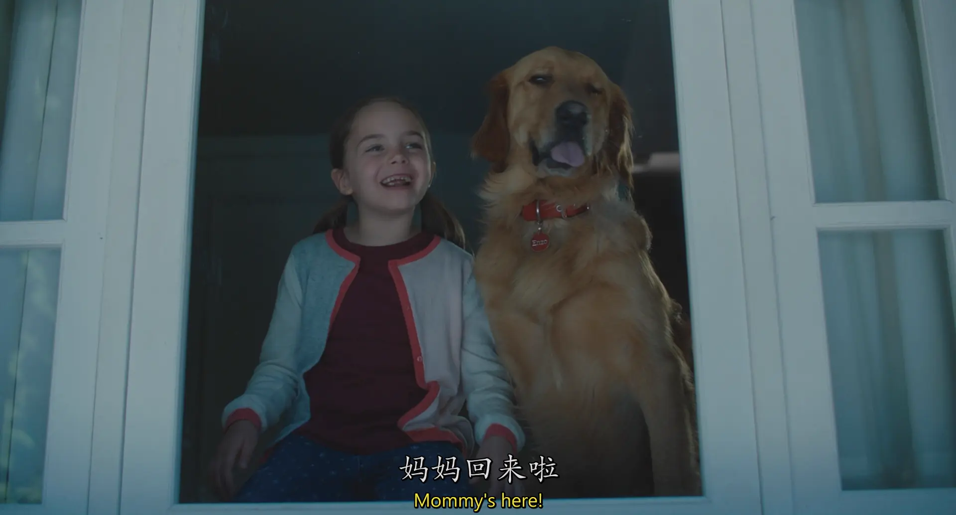 [ed2k][2019][我在雨中等你][凯文·科斯特纳/米洛·文堤米利亚][剧情/喜剧/爱情][中英字幕][MKV/9.99GiB][BluRay.1080p.x264.DTS-CMCT]