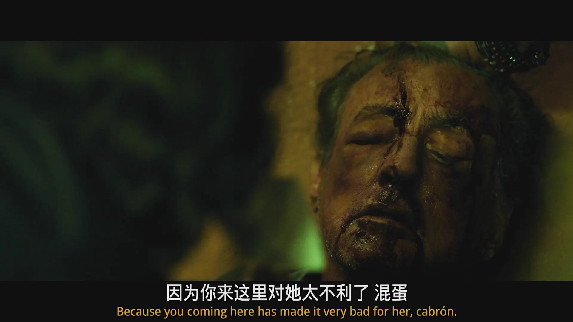 [ed2k][2019][第一滴血5：最后的血][西尔维斯特·史泰龙/帕斯·贝加][动作/惊悚/冒险][中英字幕][MKV/10.00GiB][BluRay.1080p.x264.DTS-CMCT]