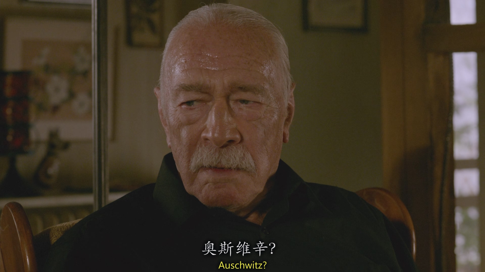 [ed2k][2015][记住][克里斯托弗·普卢默/迪恩·诺里斯][剧情/惊悚][中英字幕][MKV/4.20GiB][BluRay.1080p.x265.10bit.AC3-CMCT]