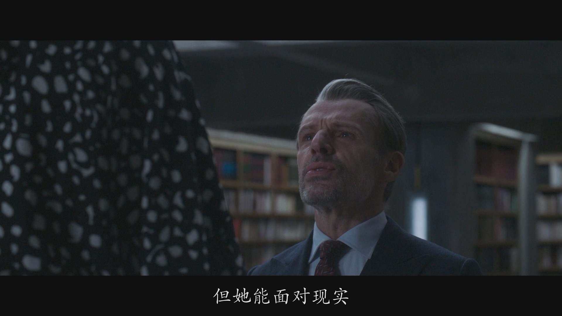 [ed2k][2019][翻译疑云][朗贝尔·维尔森/欧嘉·柯瑞兰寇][悬疑/惊悚][简繁字幕][MKV/8.99GiB][BluRay.1080p.x264.DTS-CMCT]
