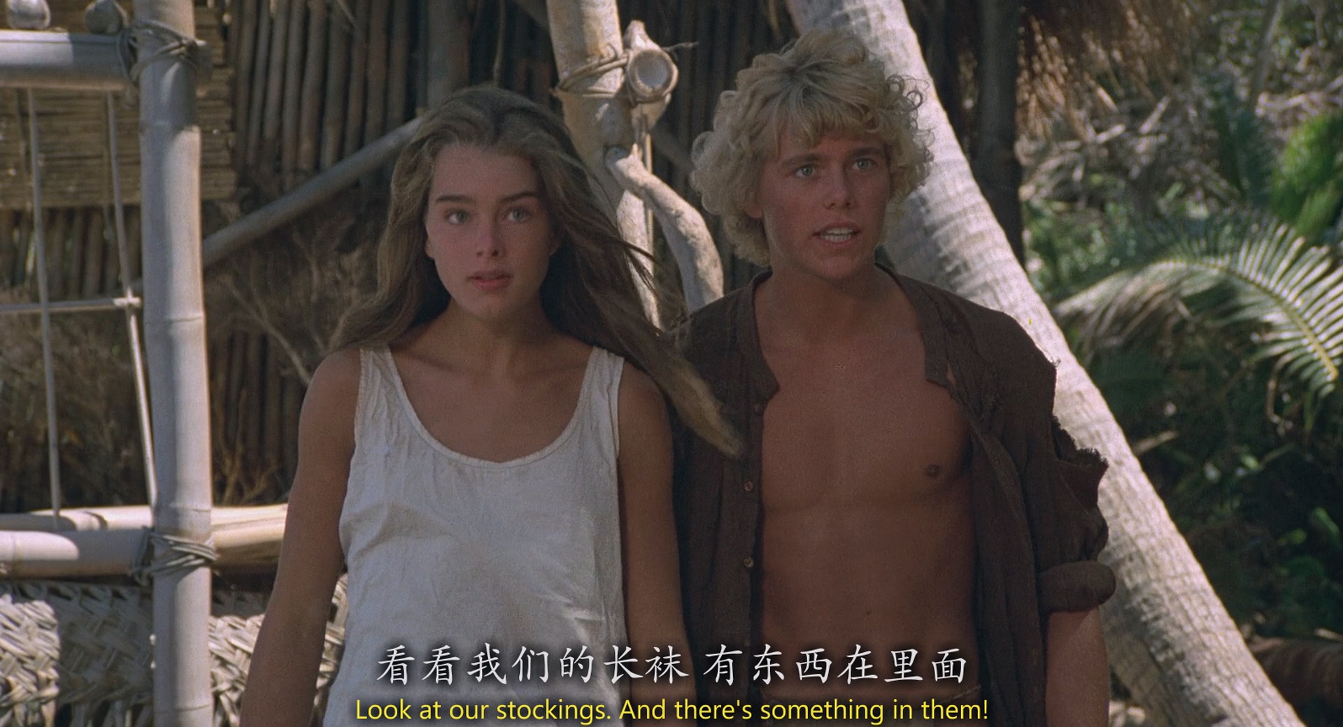 [ed2k][1980][青春珊瑚岛][波姬·小丝/克里斯托弗·阿特金斯][剧情/爱情/冒险][中英字幕][MKV/10.00GiB][BluRay.1080p.x264.DTS-CMCT]
