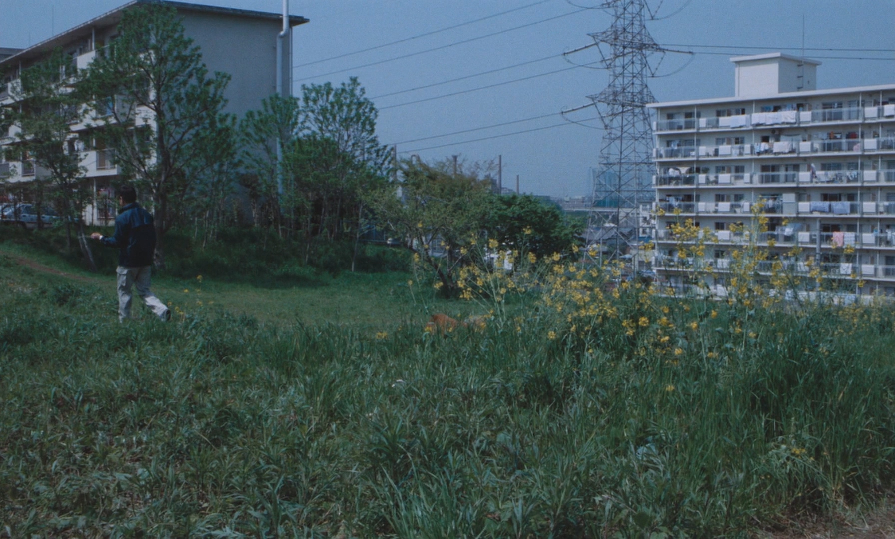 [ed2k][1989][北京的西瓜][柳原晴郎/本格尔][剧情][简繁日字幕][MKV/11.28GiB][BluRay.1080p.x264.FLAC-CMCT]