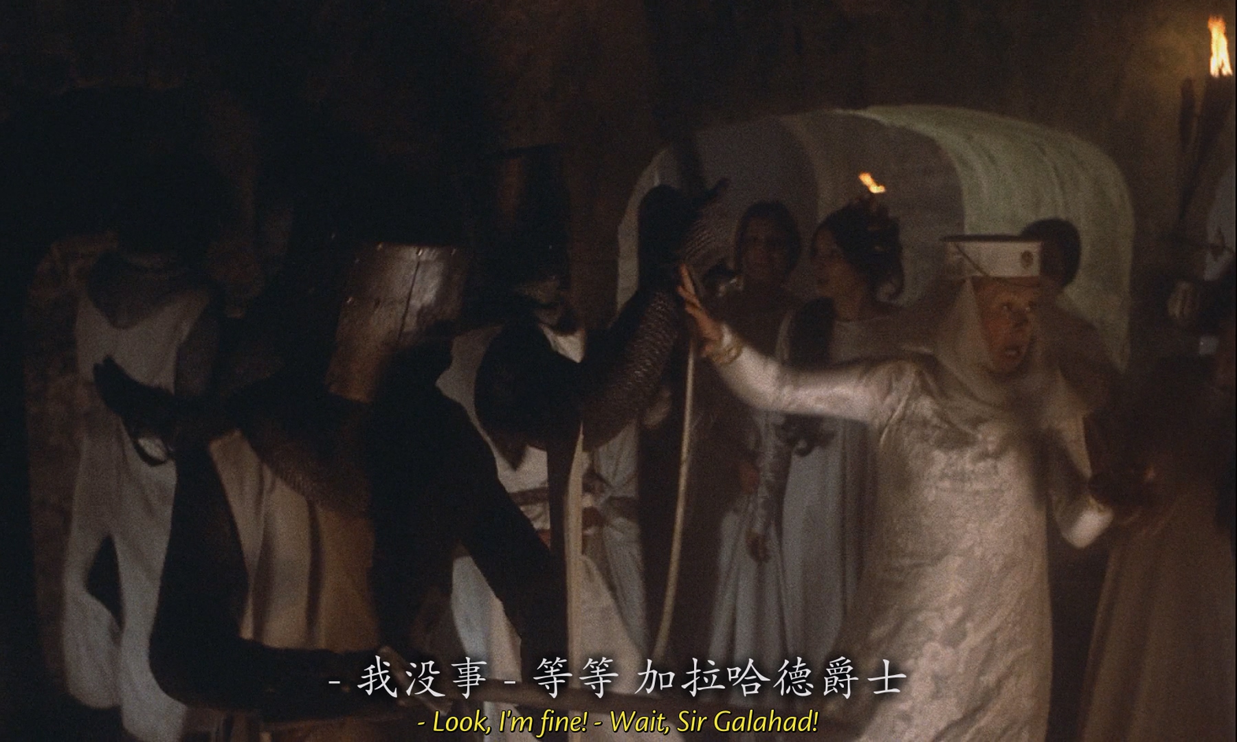 [ed2k][1975][巨蟒与圣杯][格雷厄姆·查普曼/约翰·克里斯][喜剧/奇幻/冒险][中英字幕][MKV/8.99GiB][BluRay.1080p.x264.DTS-CMCT]